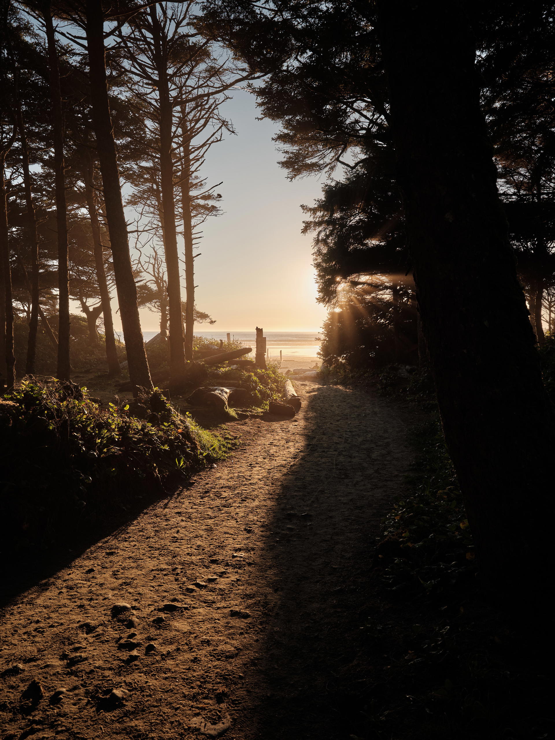 2023-09-14 18.02.30 Vancouver Island_3000px.jpg