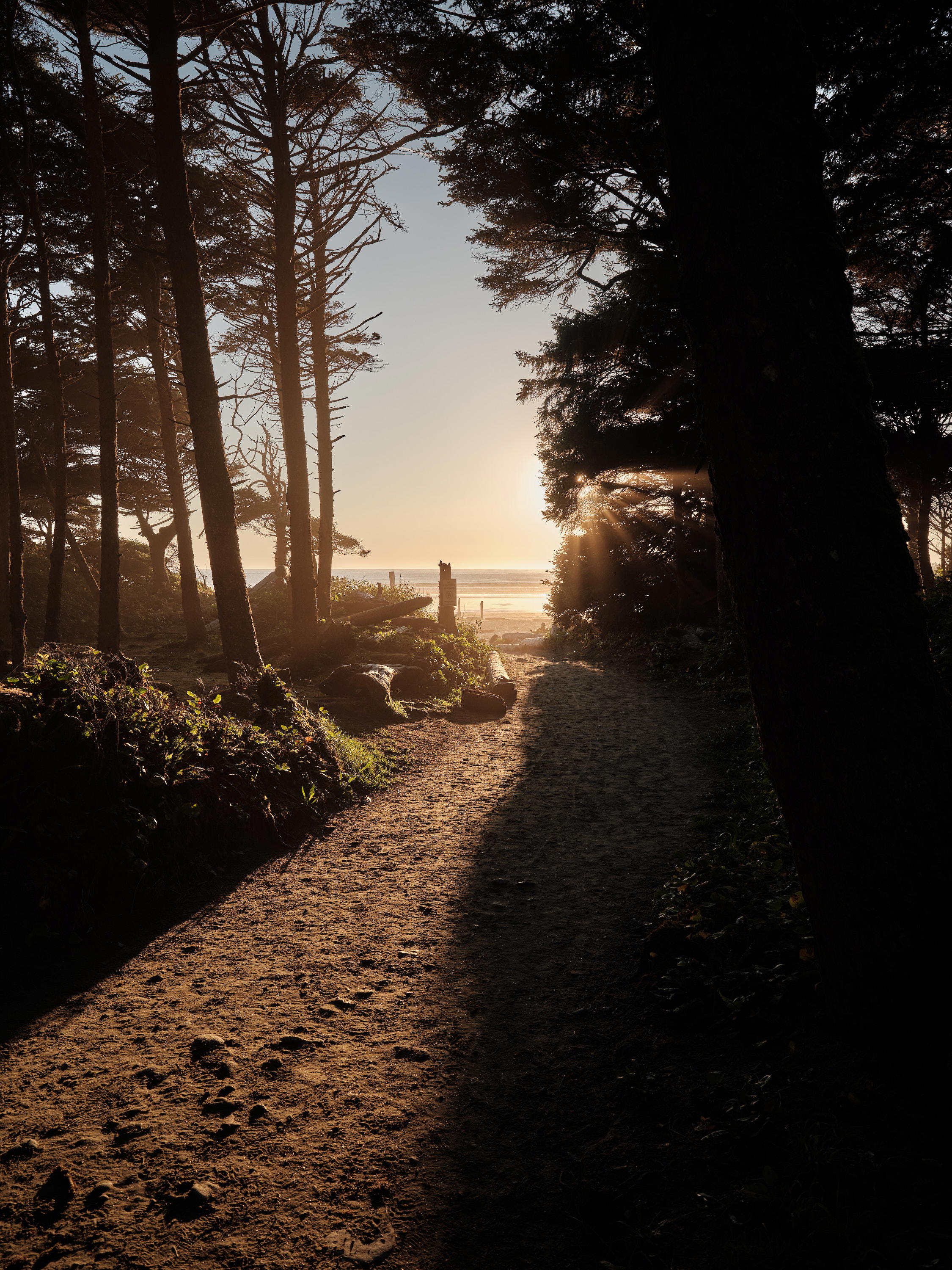 2023-09-14 18.02.30 Vancouver Island_3000px.jpg