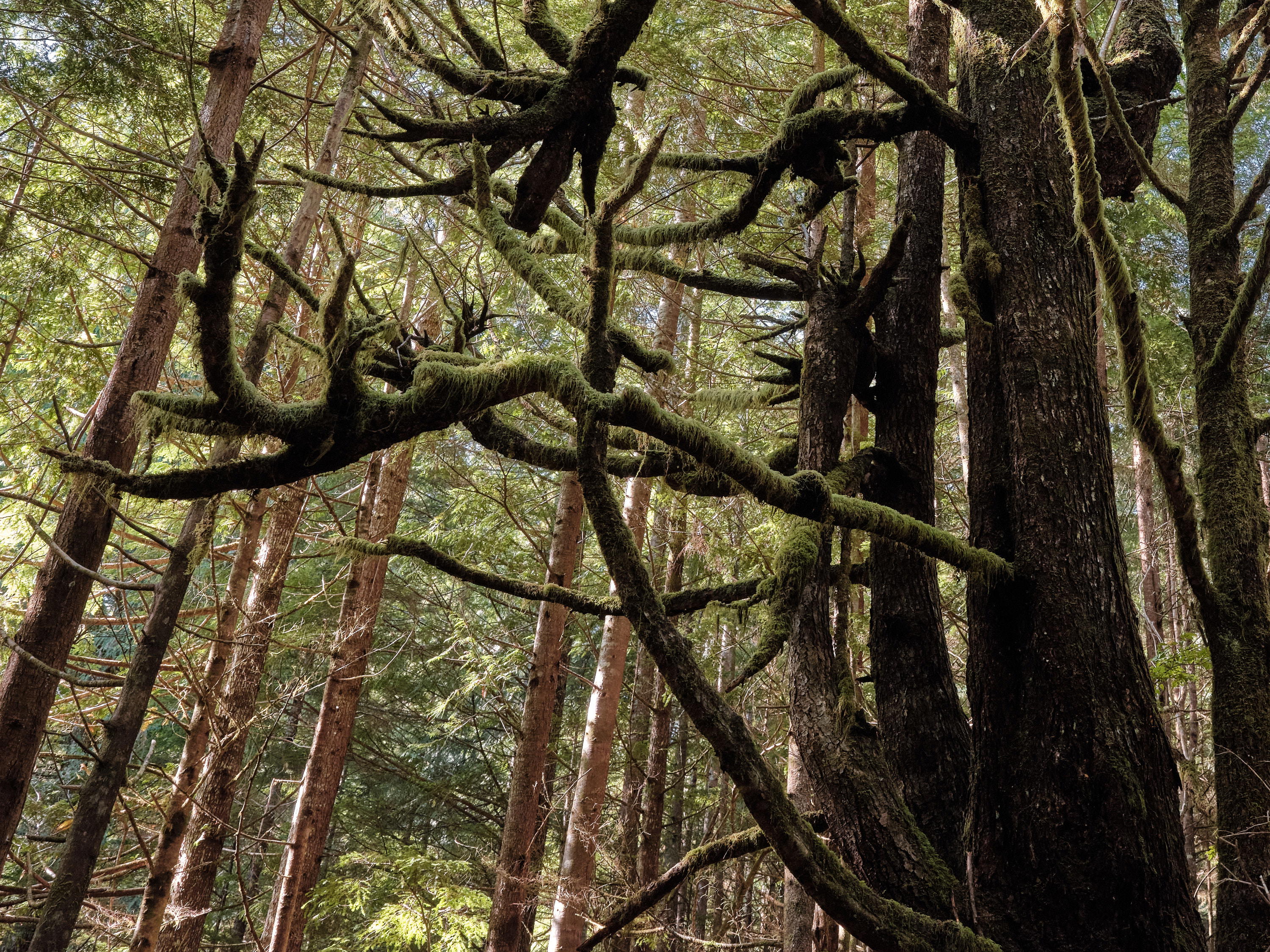 2023-09-15 11.16.11 Vancouver Island_3000px.jpg