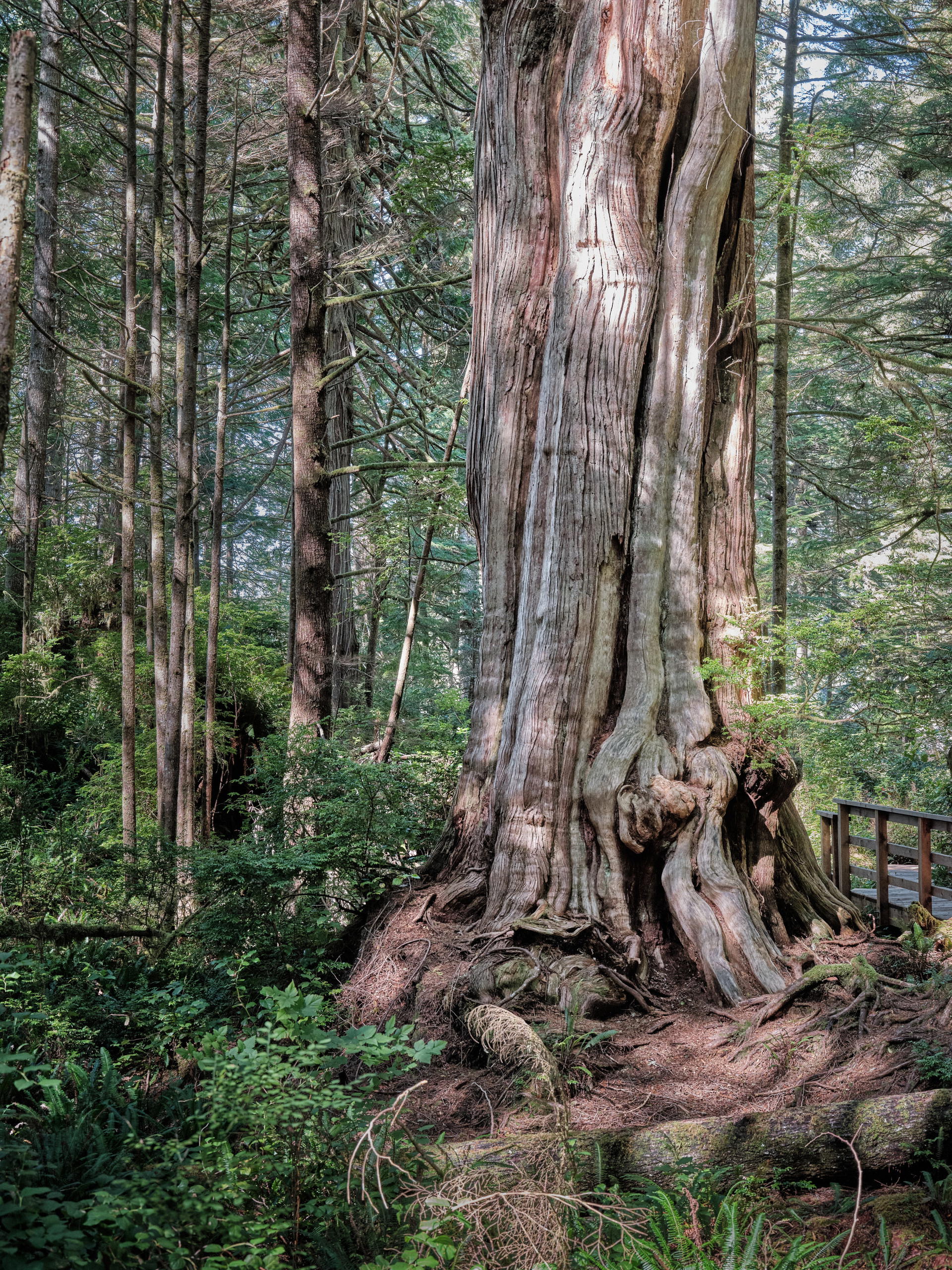 2023-09-15 13.25.23 Vancouver Island_3000px.jpg