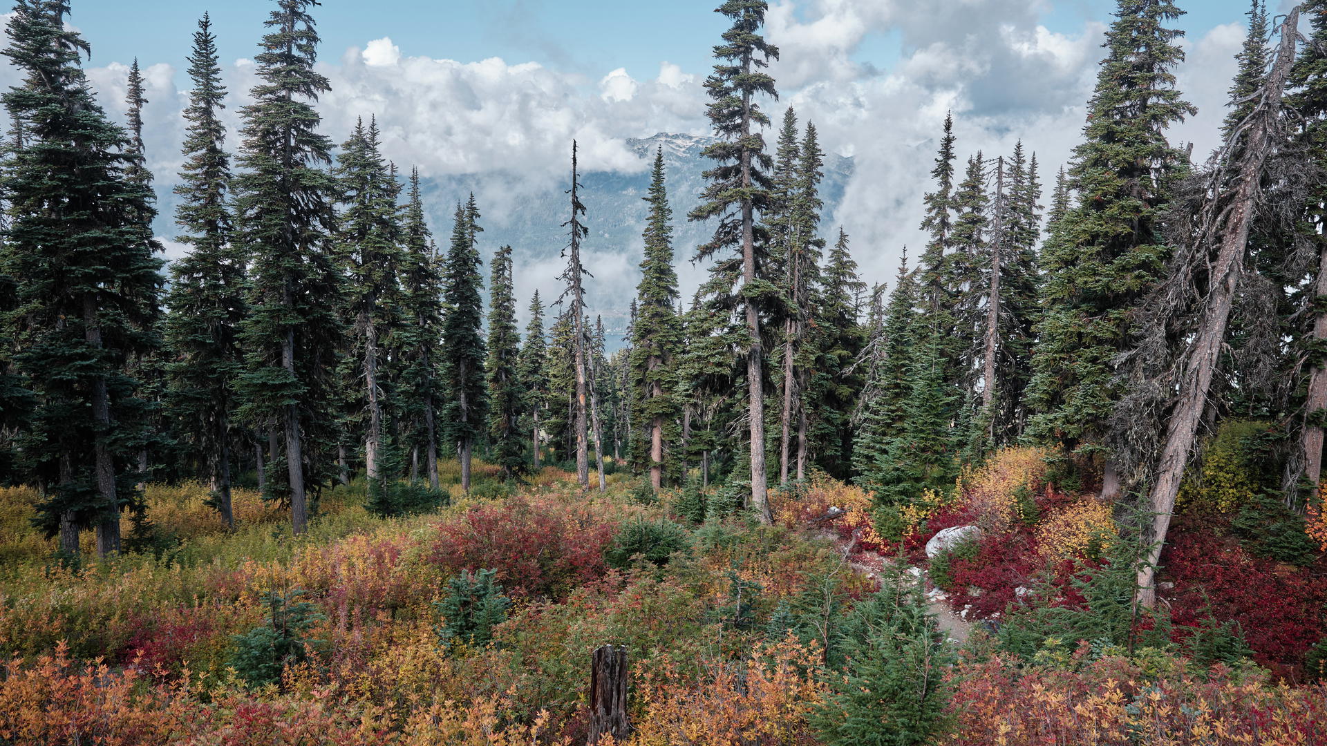 2023-09-18 10.52.01 Whistler_3000px.jpg