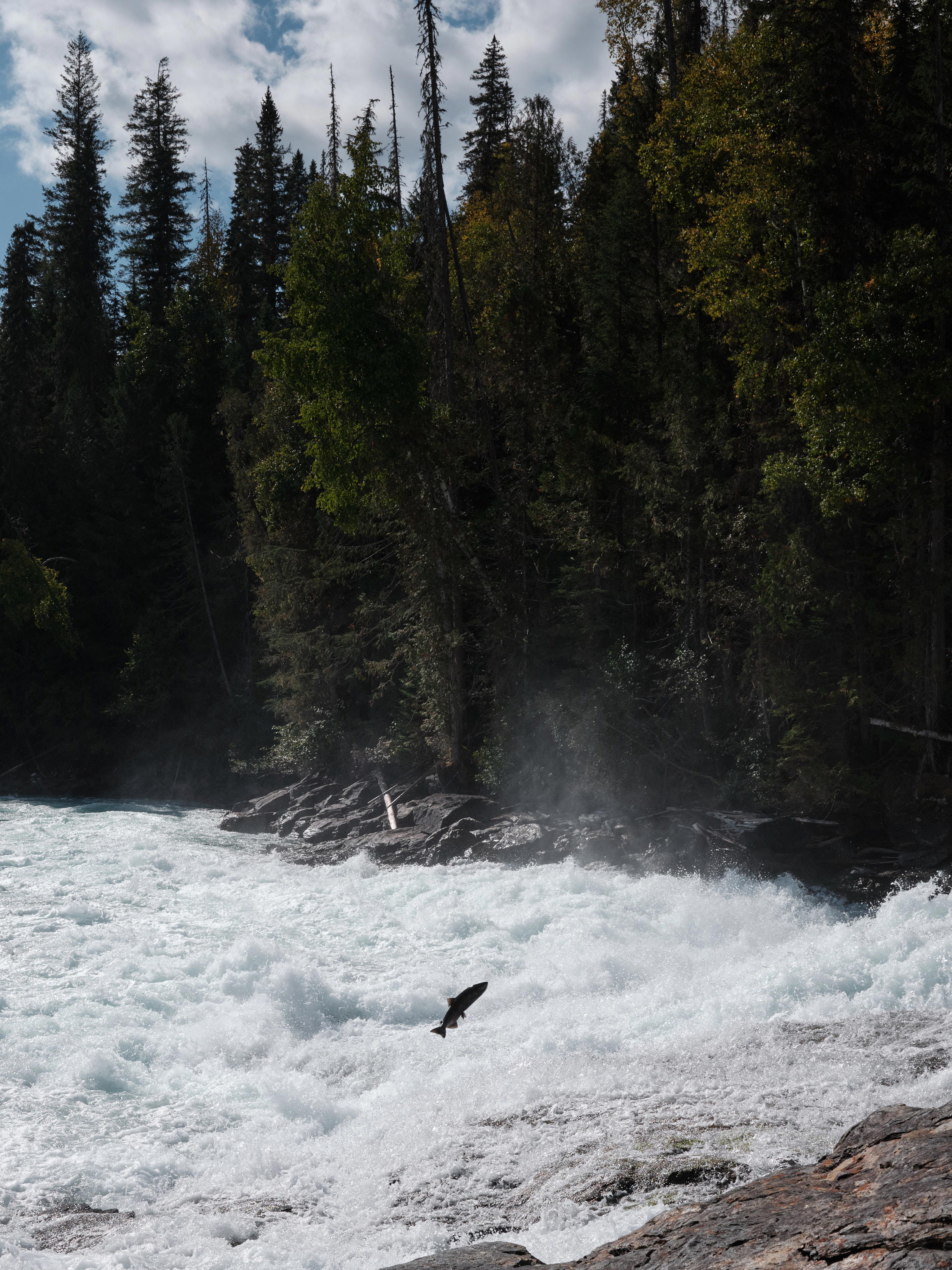 2023-09-20 12.26.59 Wells Gray Provincial Park_3000px.jpg