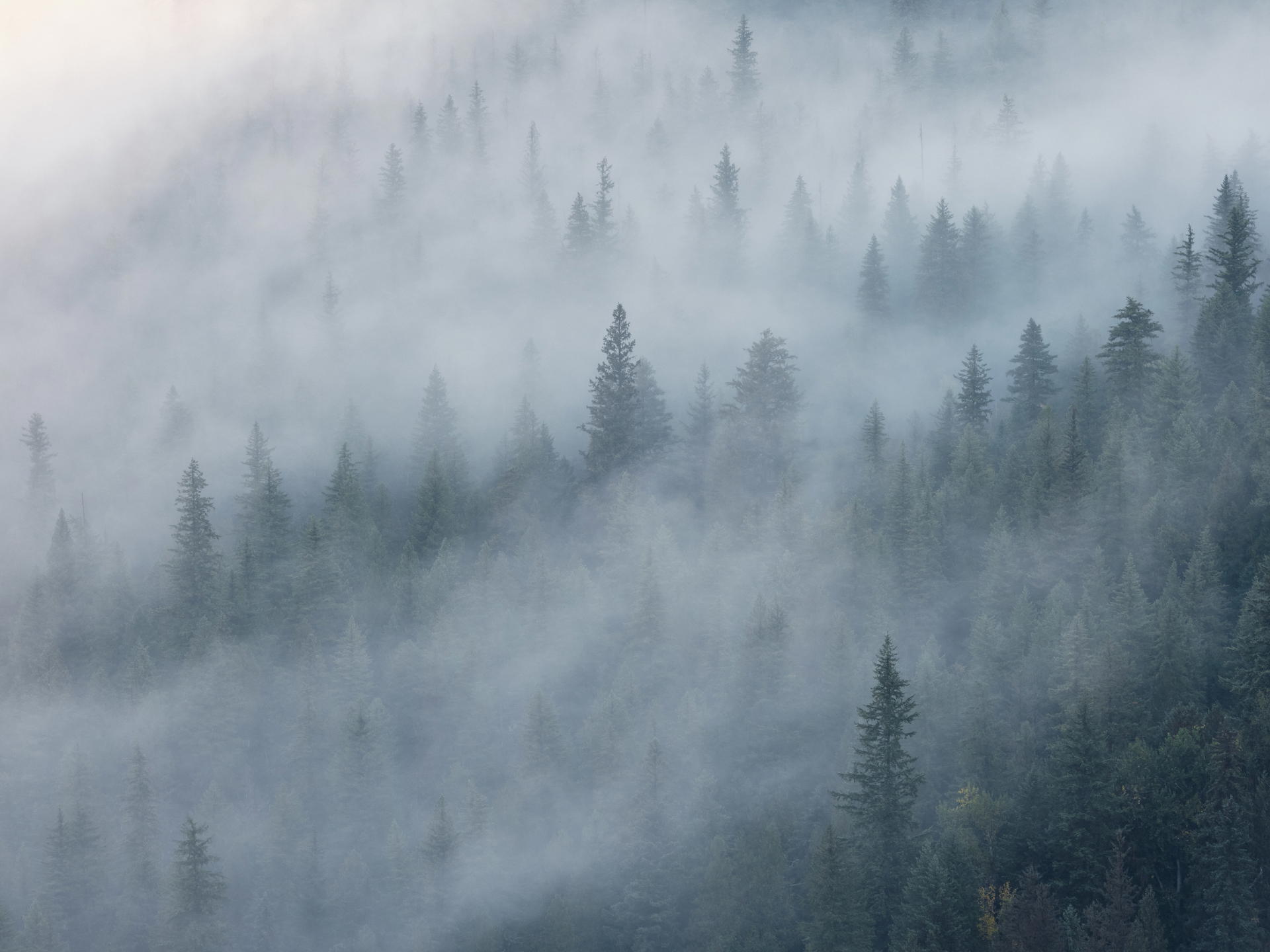 2023-09-22 09.07.50 Wells Gray Provincial Park_3000px.jpg