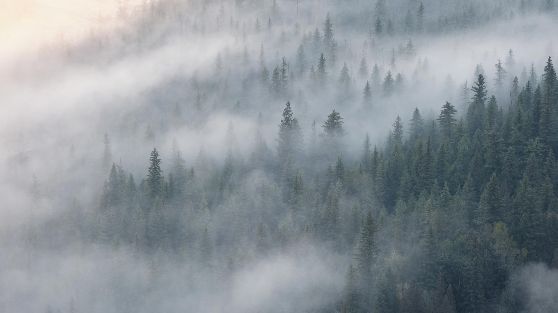 2023-09-22 09.08.46 Wells Gray Provincial Park_3000px.jpg