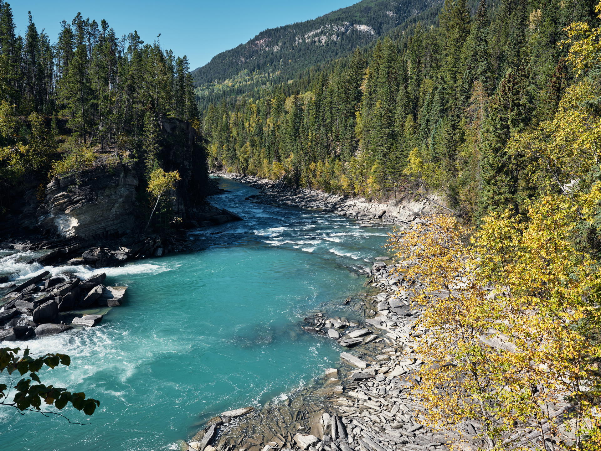 2023-09-22 13.53.01 Jasper_3000px.jpg