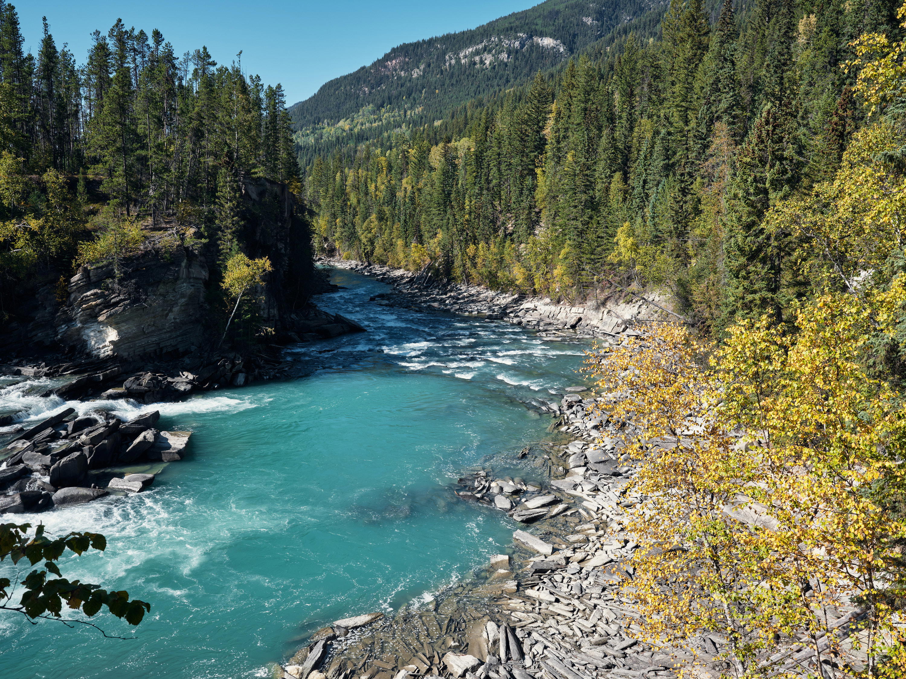 2023-09-22 13.53.01 Jasper_3000px.jpg