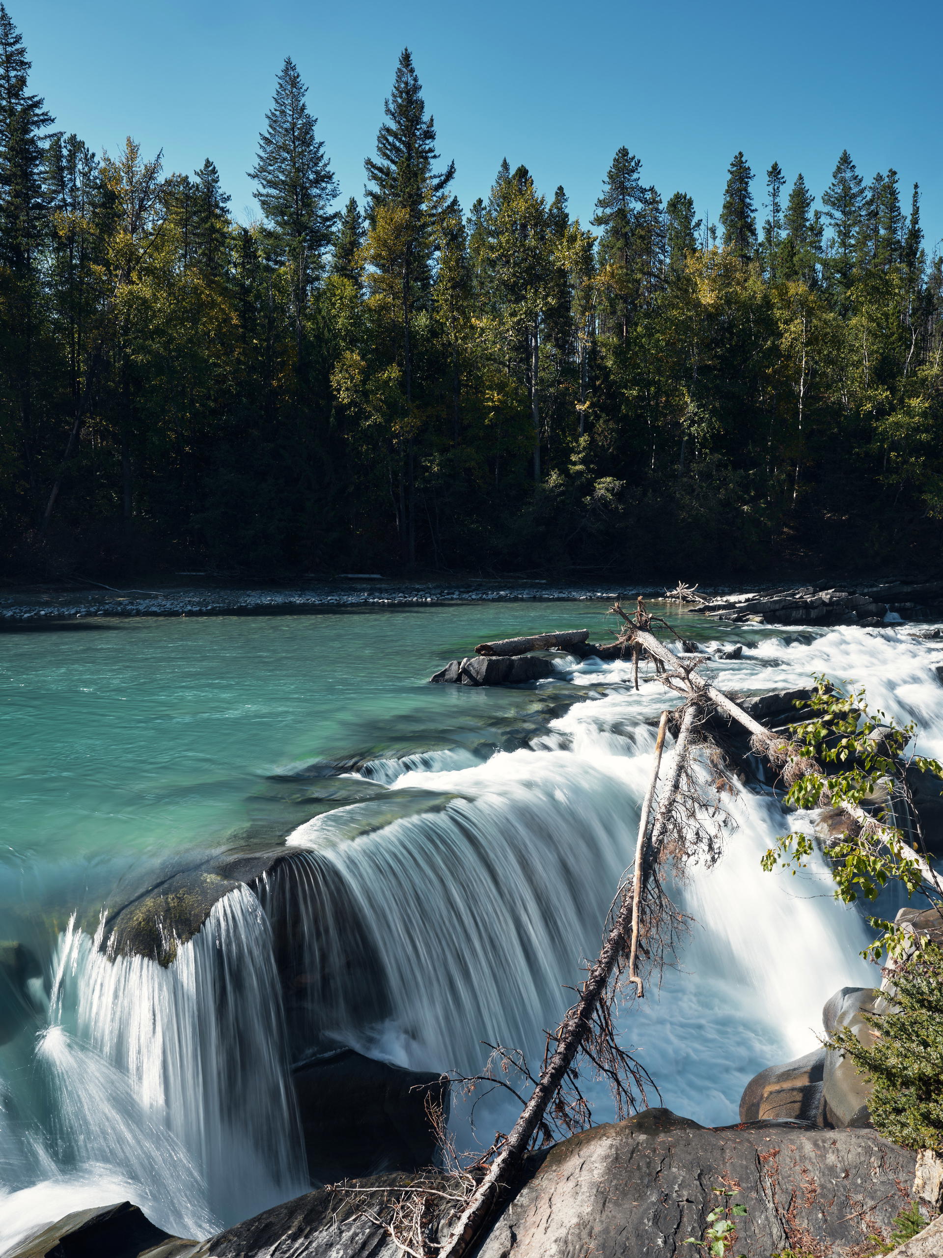 2023-09-22 13.59.34 Jasper_3000px.jpg