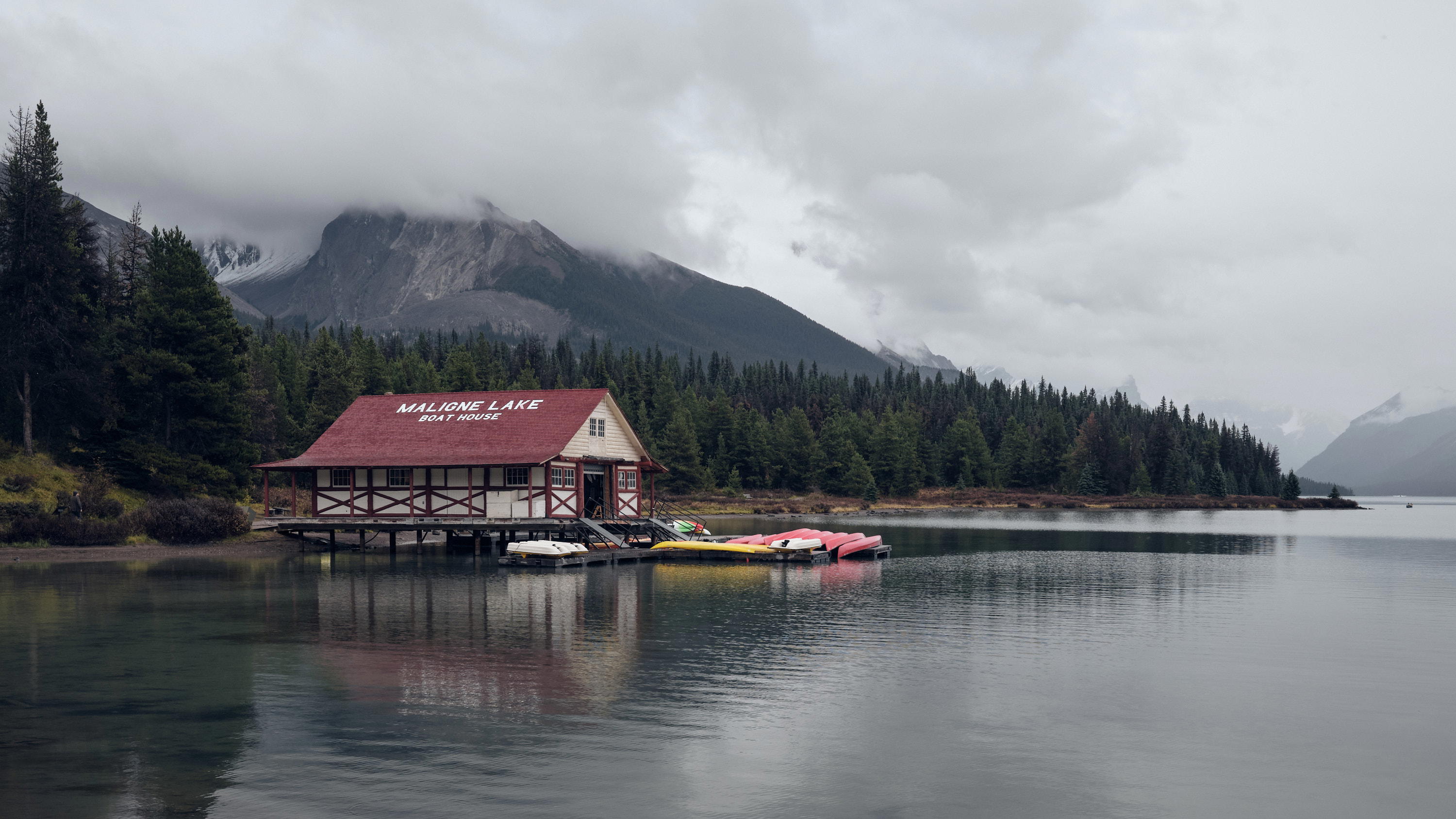 2023-09-23 12.12.18 Jasper_3000px.jpg