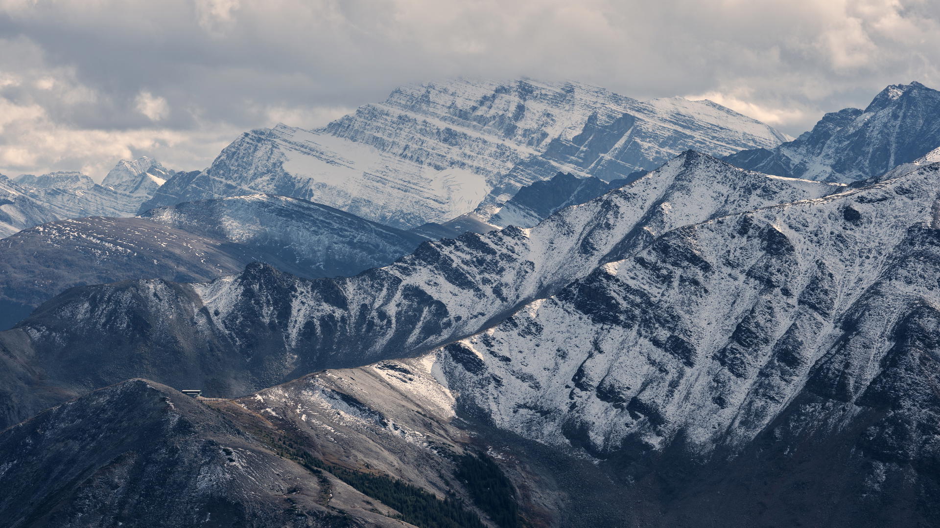 2023-09-24 14.09.02 Jasper_3000px.jpg