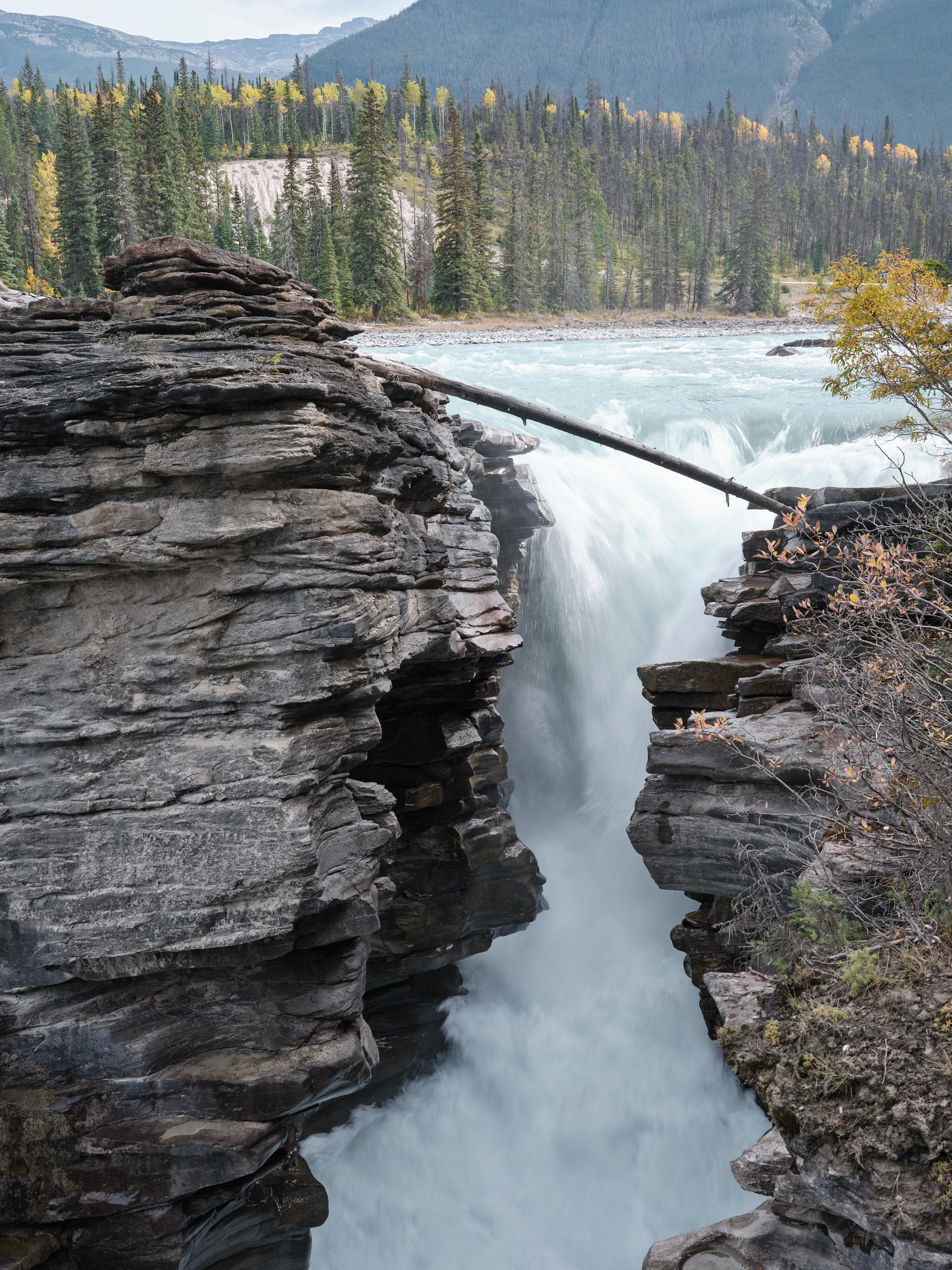 2023-09-25 11.25.49 Jasper_3000px.jpg