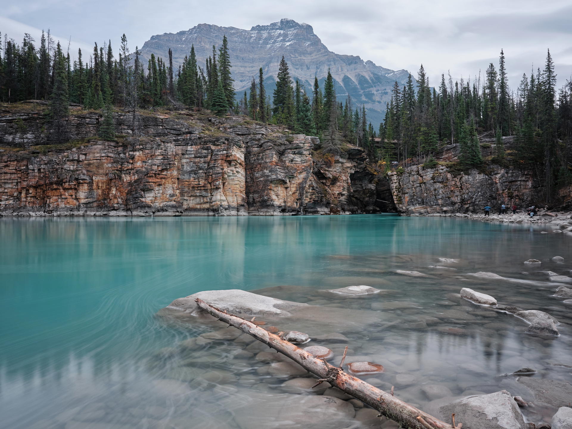 2023-09-25 11.48.50 Jasper_3000px 1.jpg