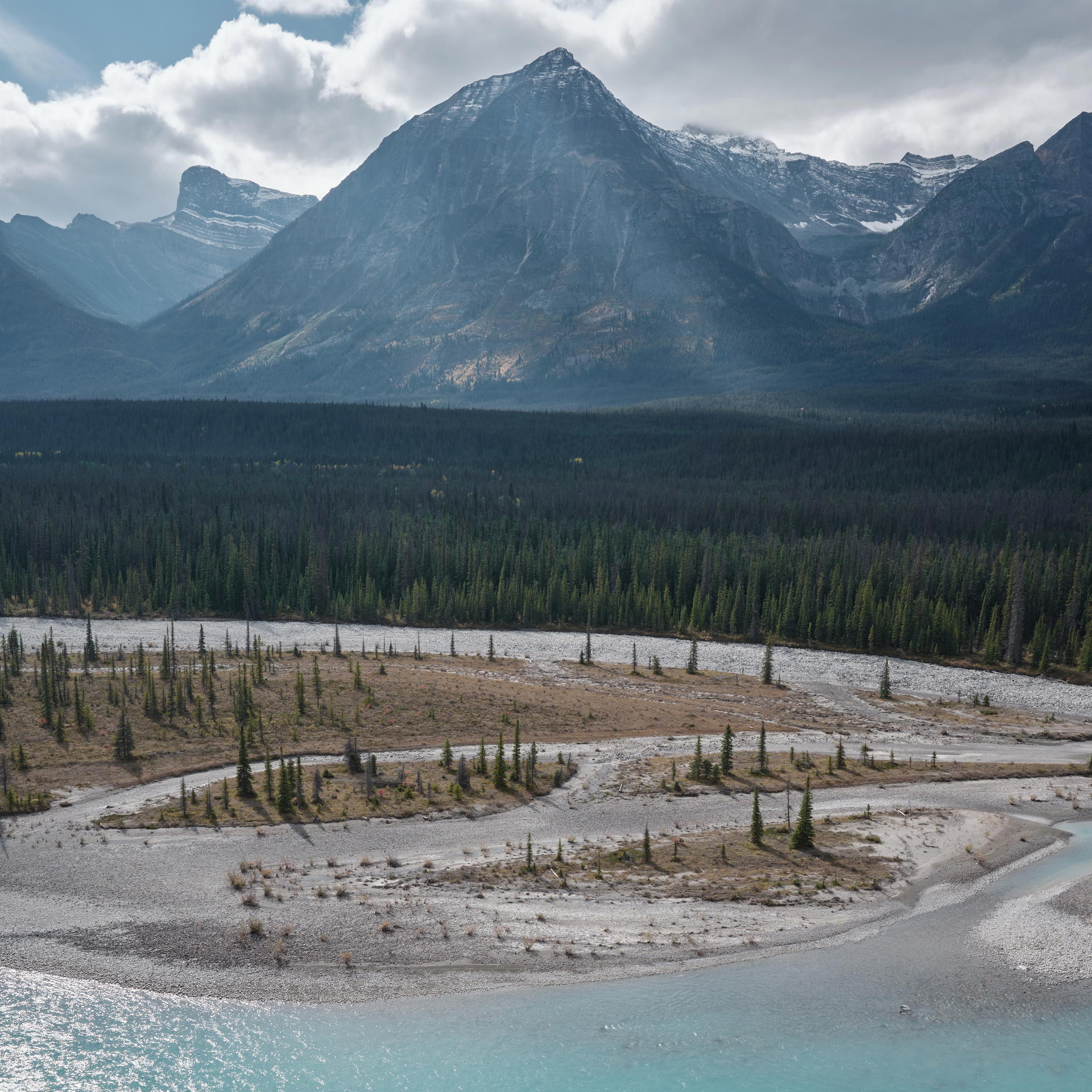 2023-09-25 12.28.51 Jasper_3000px.jpg