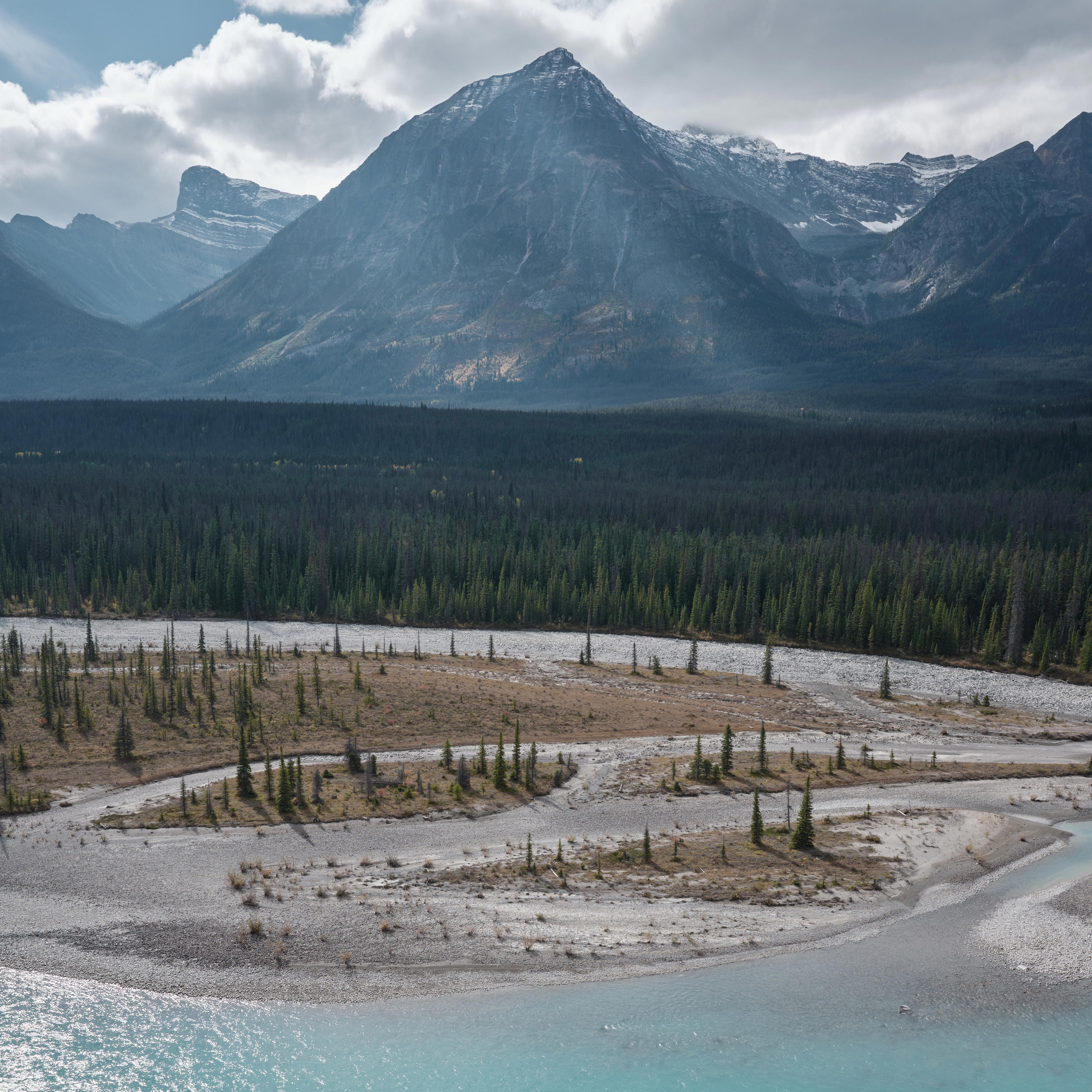 2023-09-25 12.28.51 Jasper_3000px.jpg