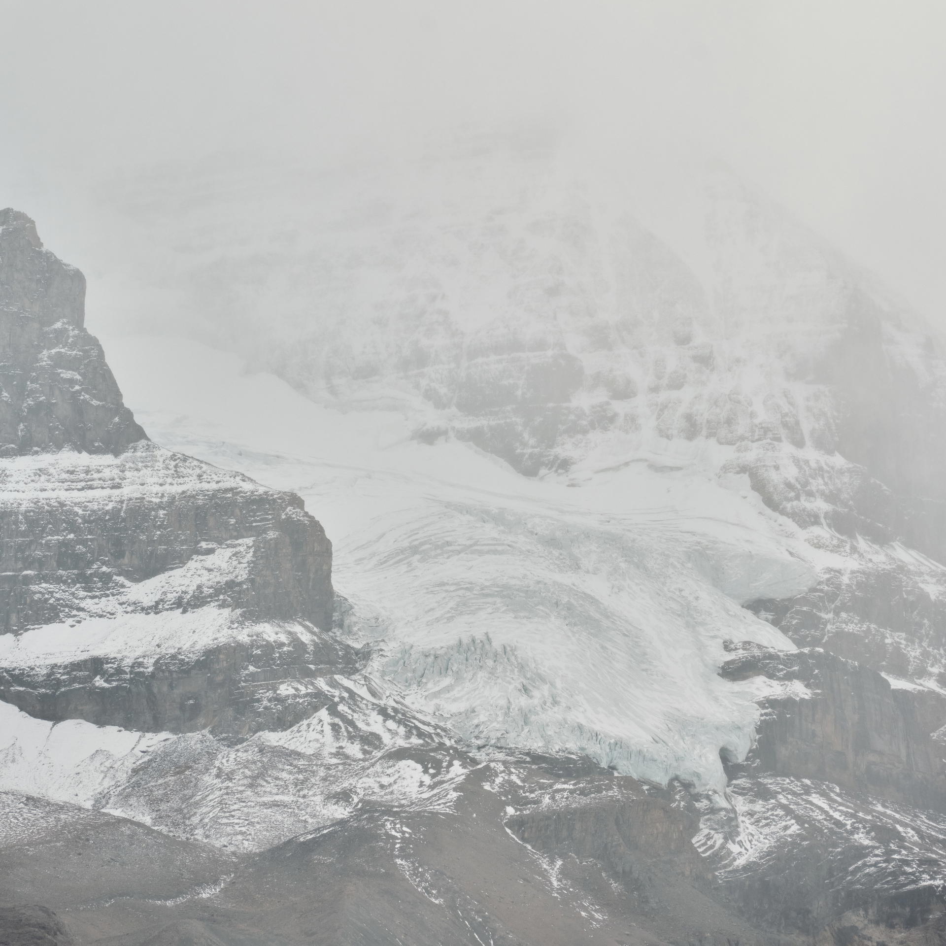 2023-09-25 14.38.25 Jasper_3000px.jpg