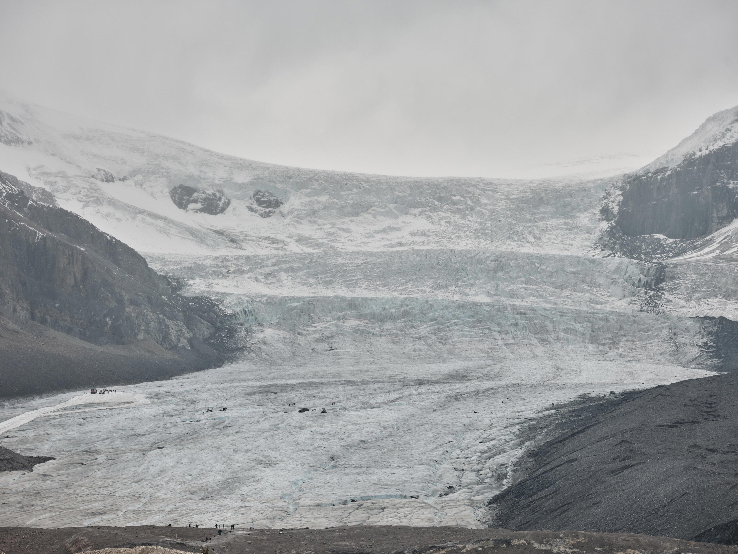 2023-09-25 14.48.05 Jasper_3000px.jpg