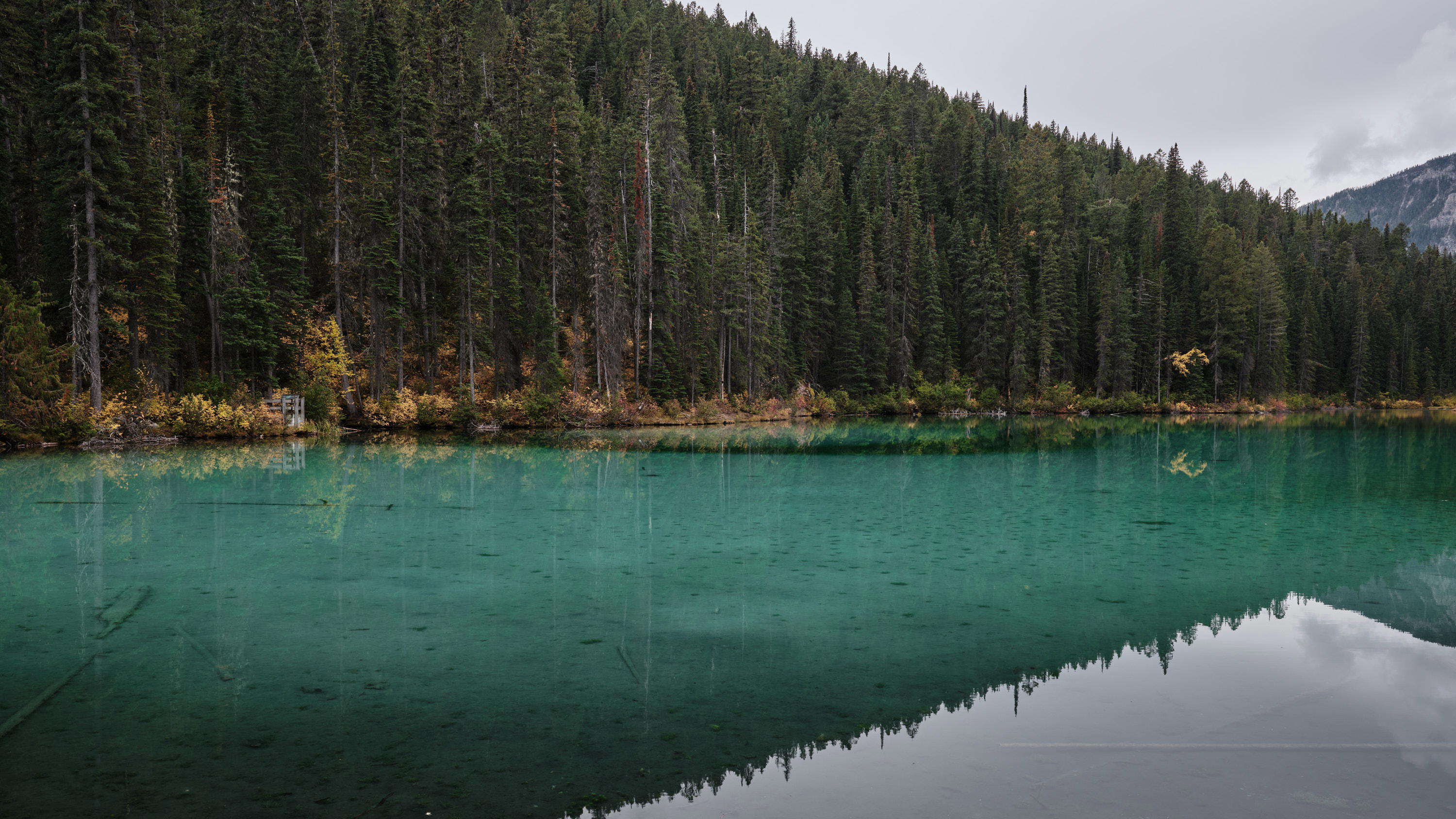 2023-09-27 12.26.04 Kootenay National Park_3000px.jpg