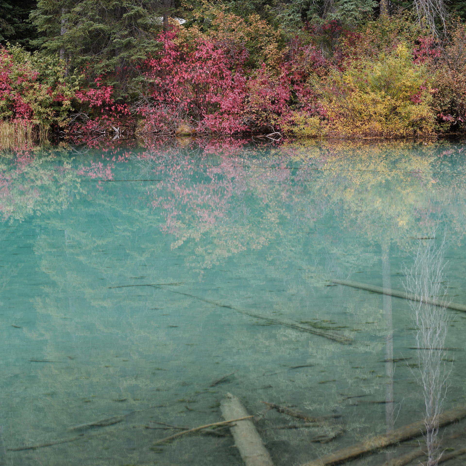 View of a lake near Radium Hot Springs in Canada