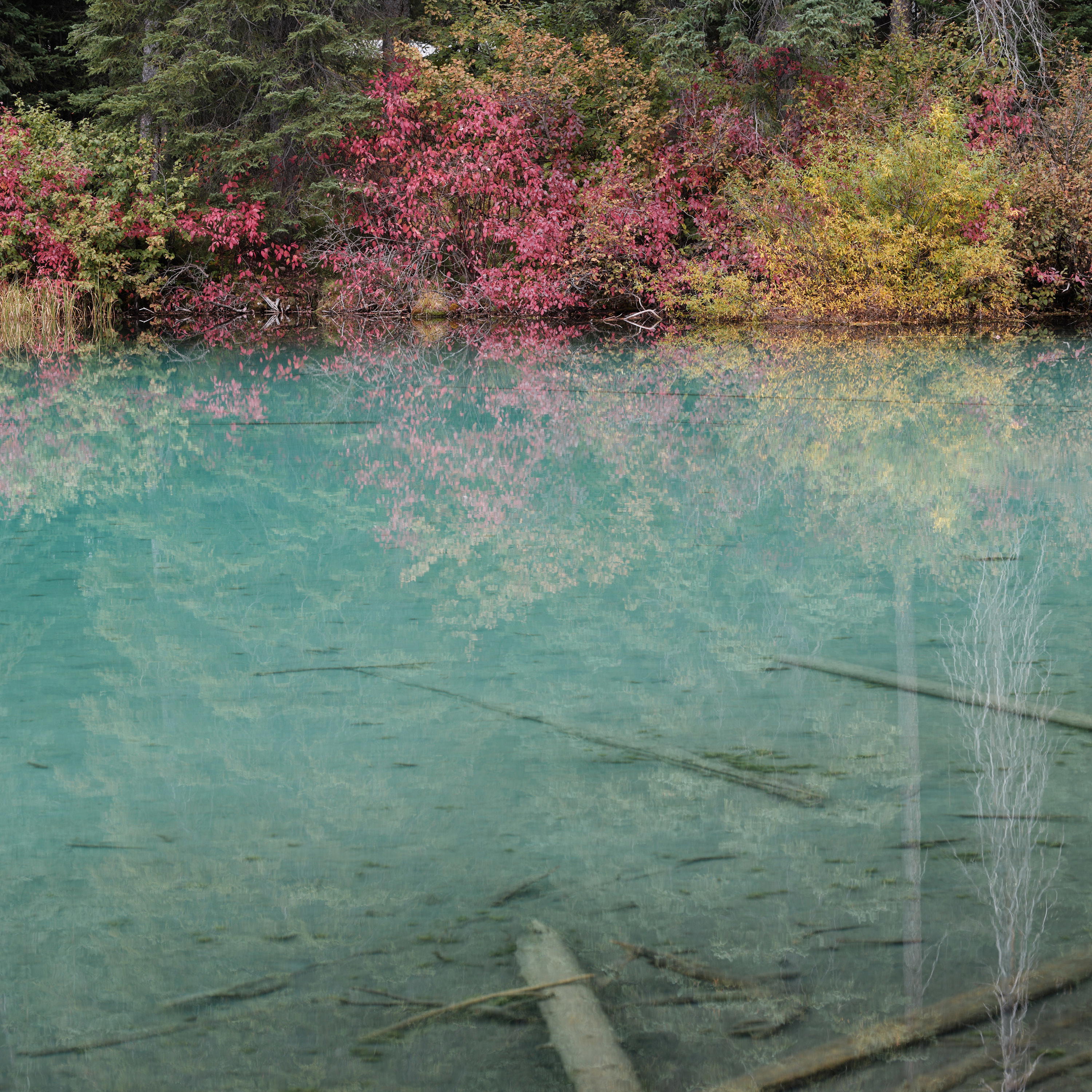 View of a lake near Radium Hot Springs in Canada