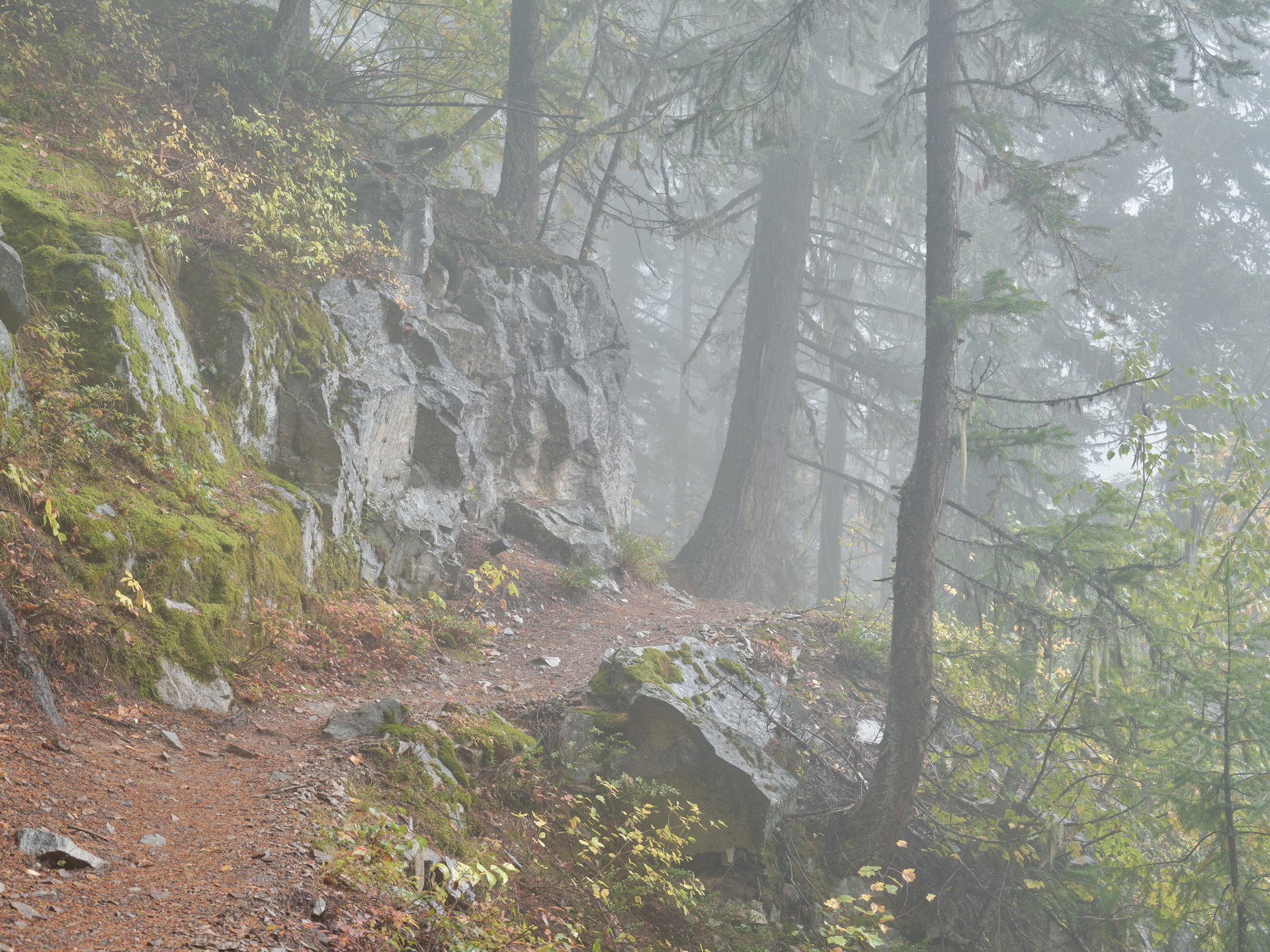 2023-09-29 11.16.42 Revelstoke_3000px.jpg