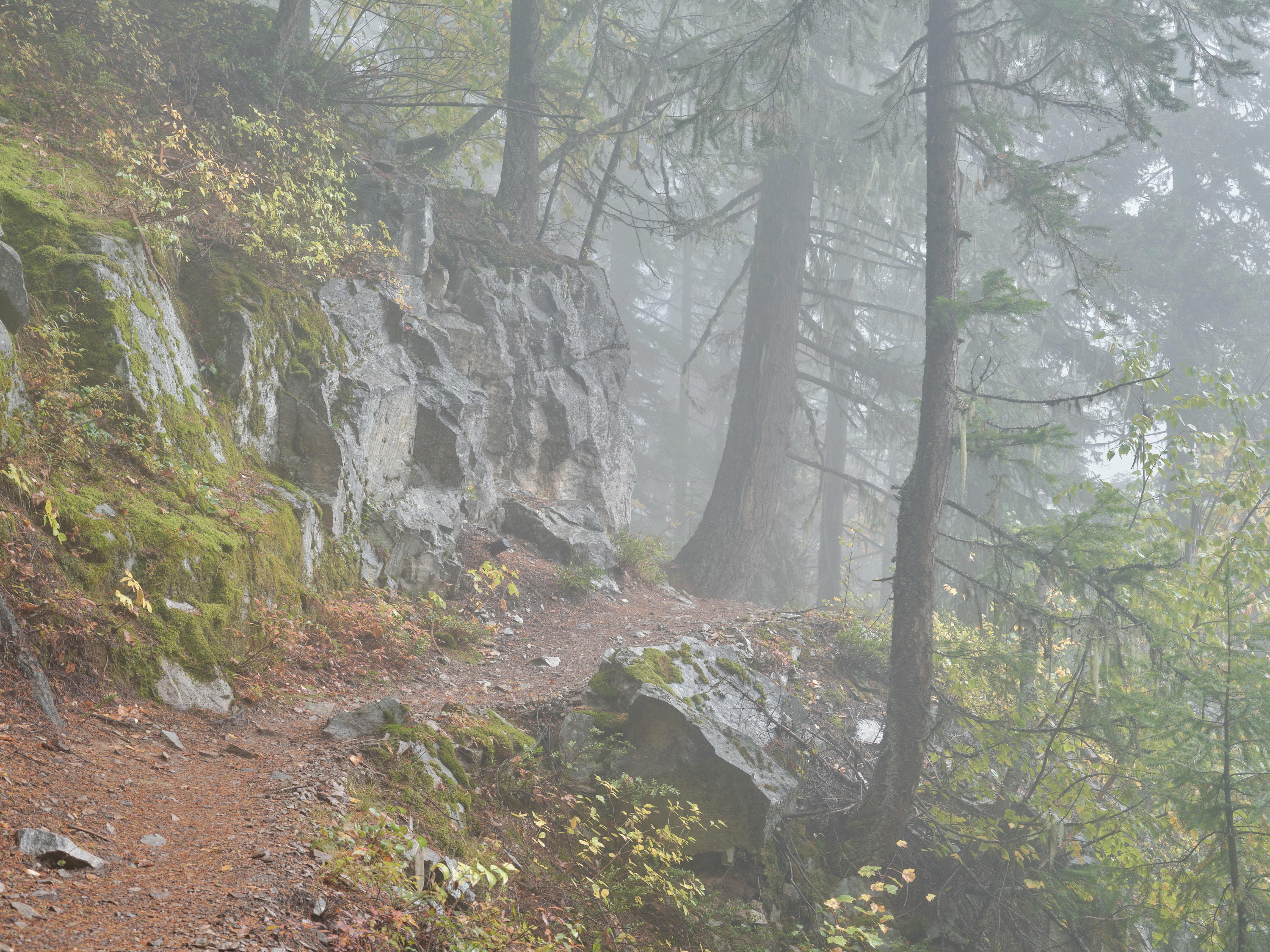 2023-09-29 11.16.42 Revelstoke_3000px.jpg