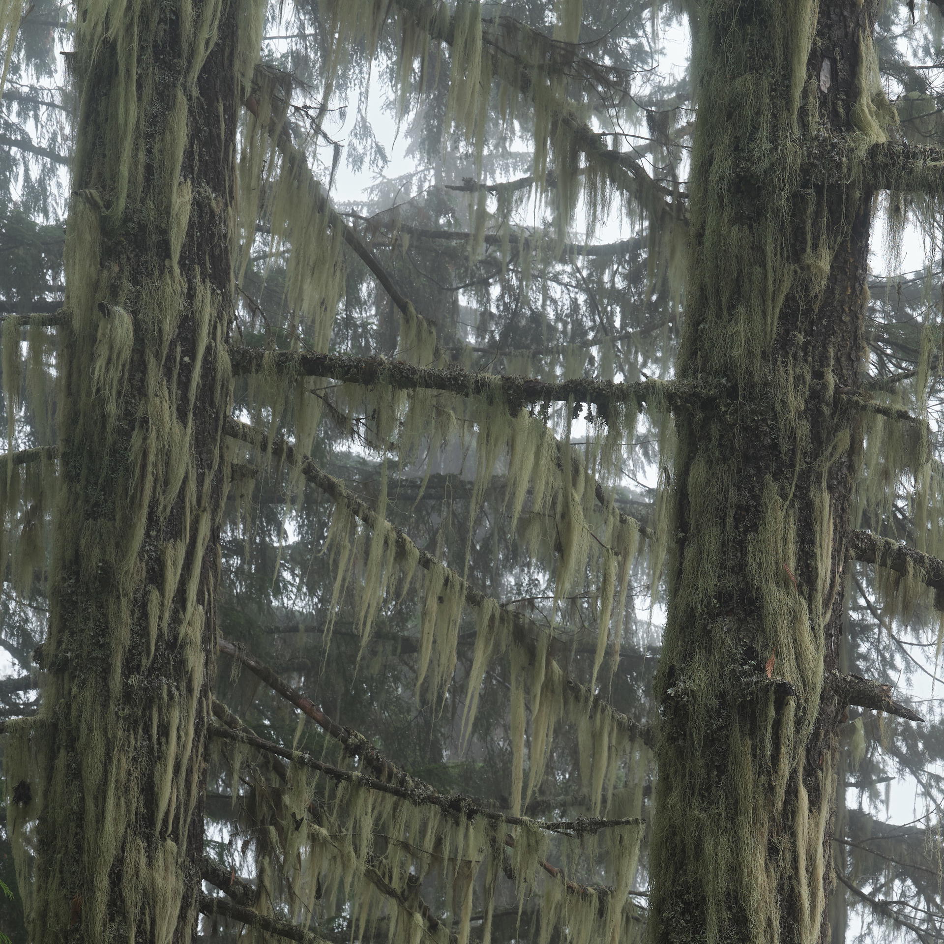 2023-09-29 11.19.23 Revelstoke_3000px.jpg