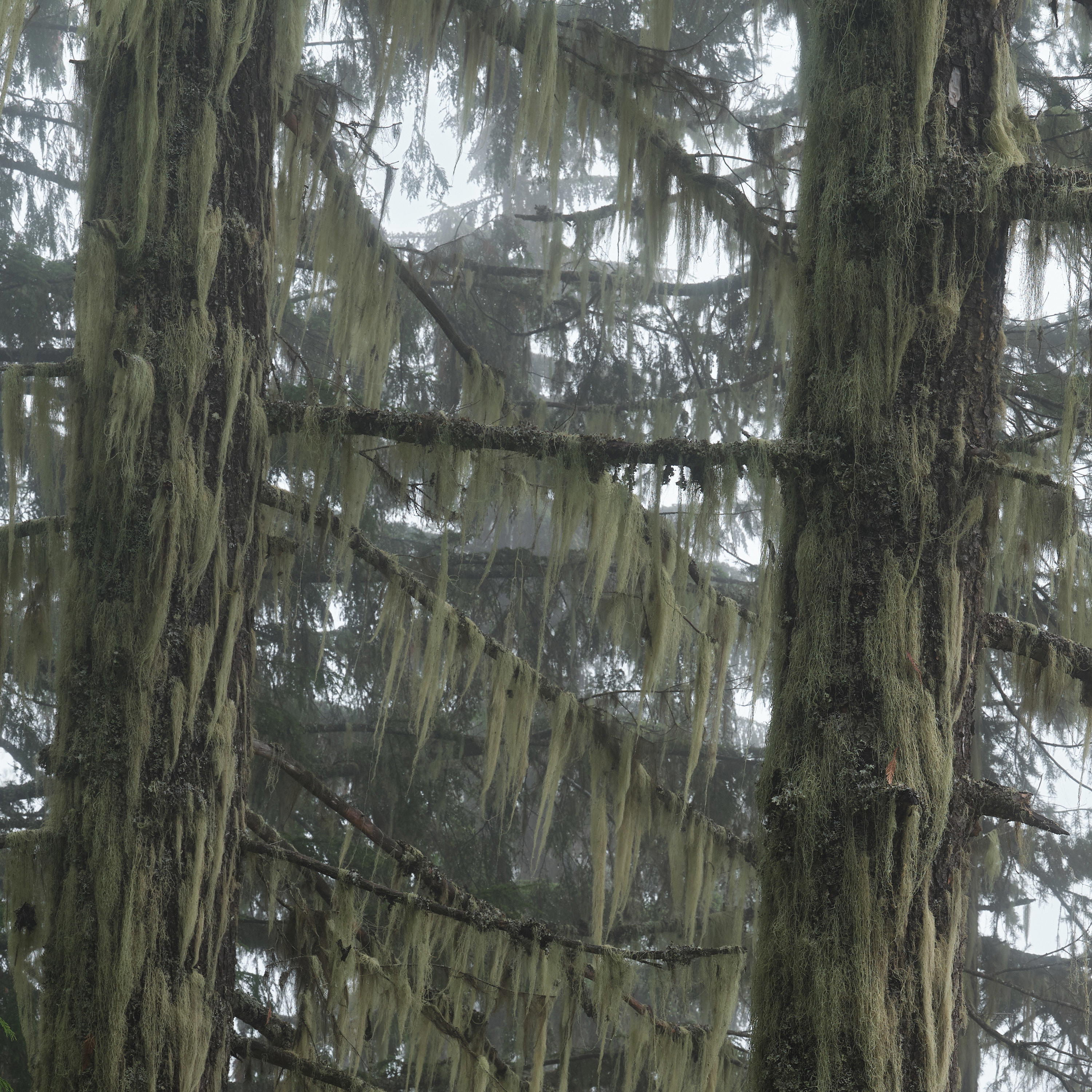 2023-09-29 11.19.23 Revelstoke_3000px.jpg