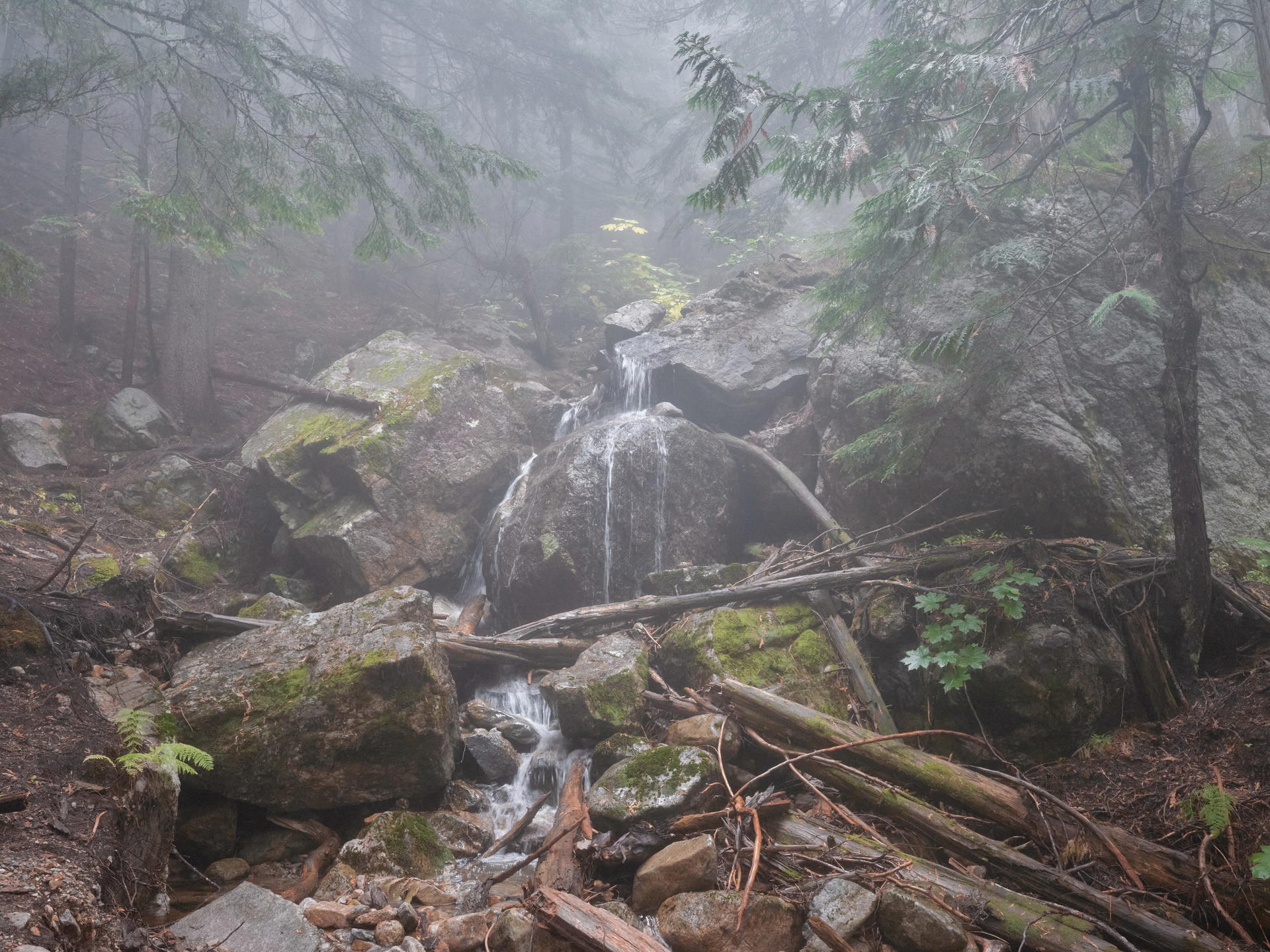 2023-09-29 11.48.28 Revelstoke_3000px.jpg