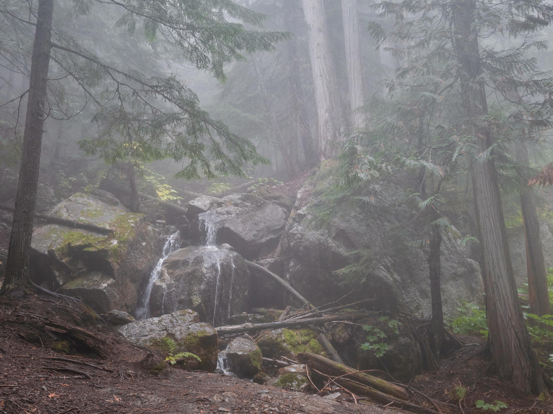View of a small waterfall near Revelstoke, Canada