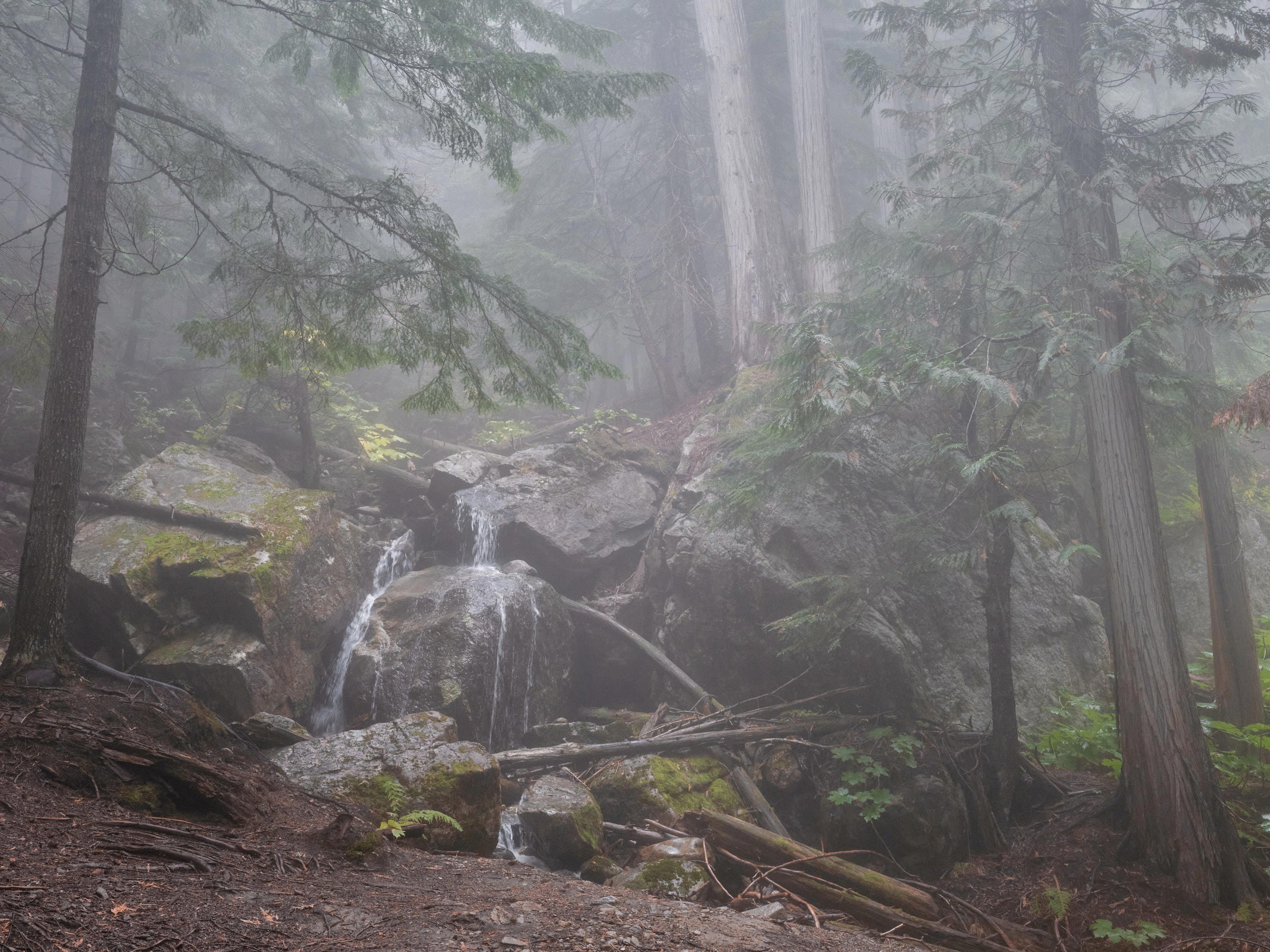 View of a small waterfall near Revelstoke, Canada