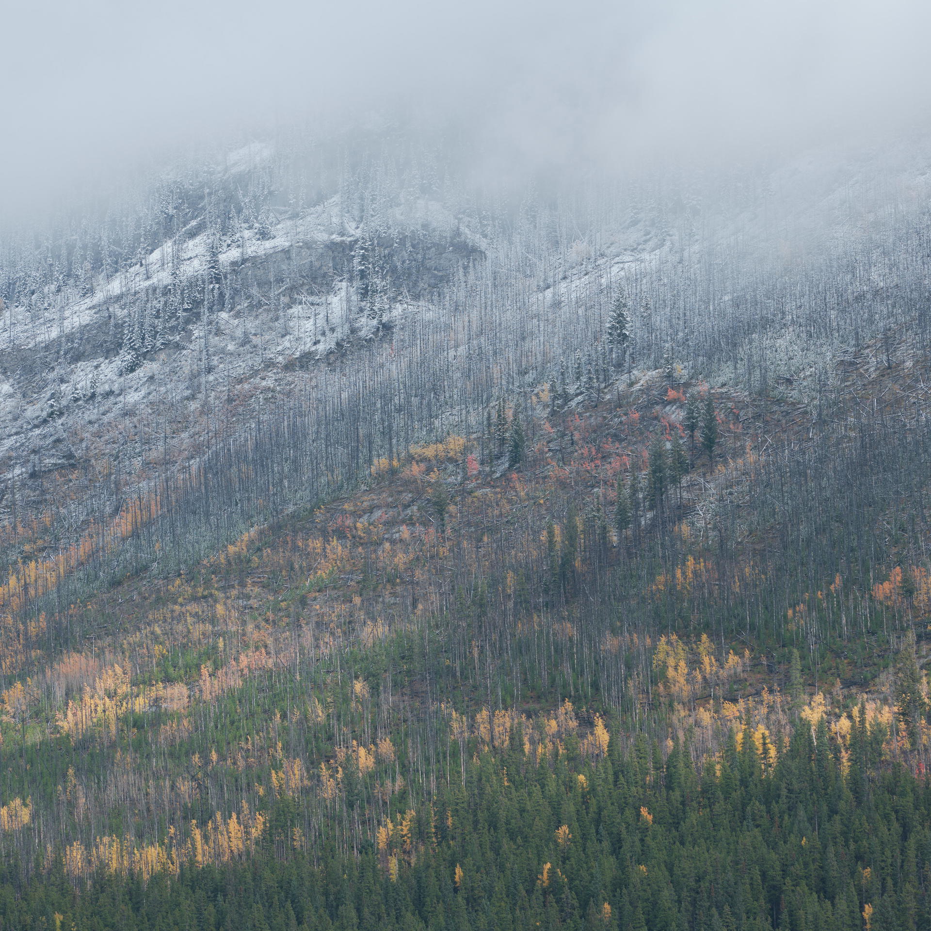 2023-10-01 10.49.37 Banff_3000px.jpg