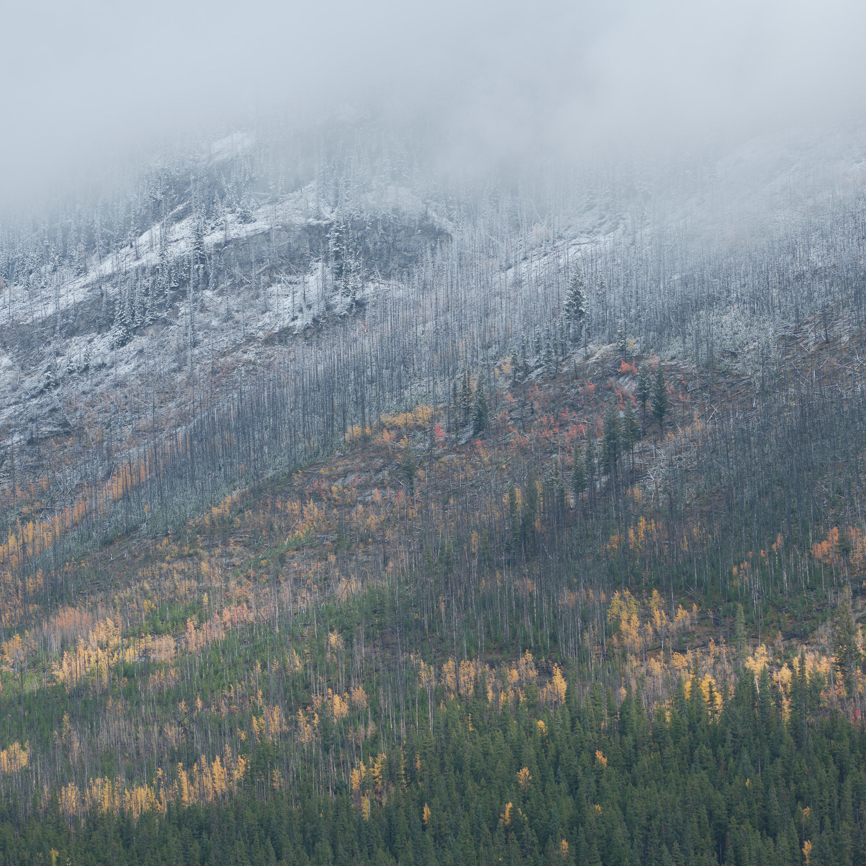 2023-10-01 10.49.37 Banff_3000px.jpg