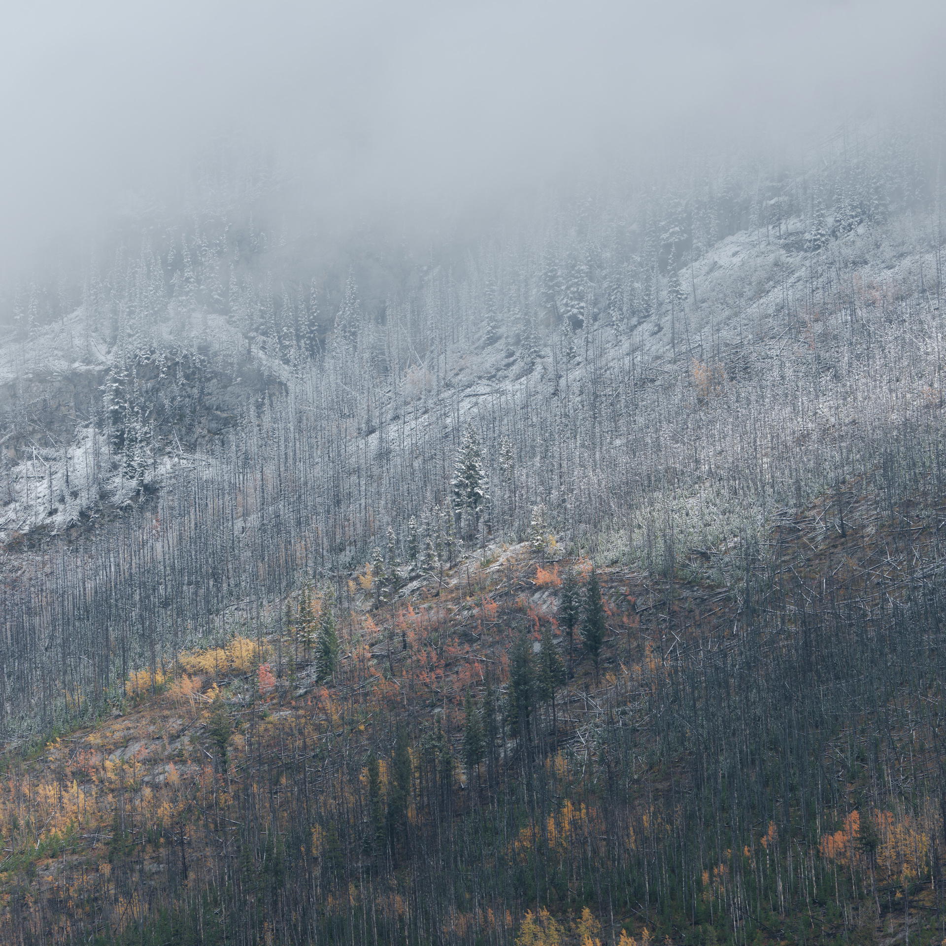 2023-10-01 10.55.25 Banff_3000px.jpg