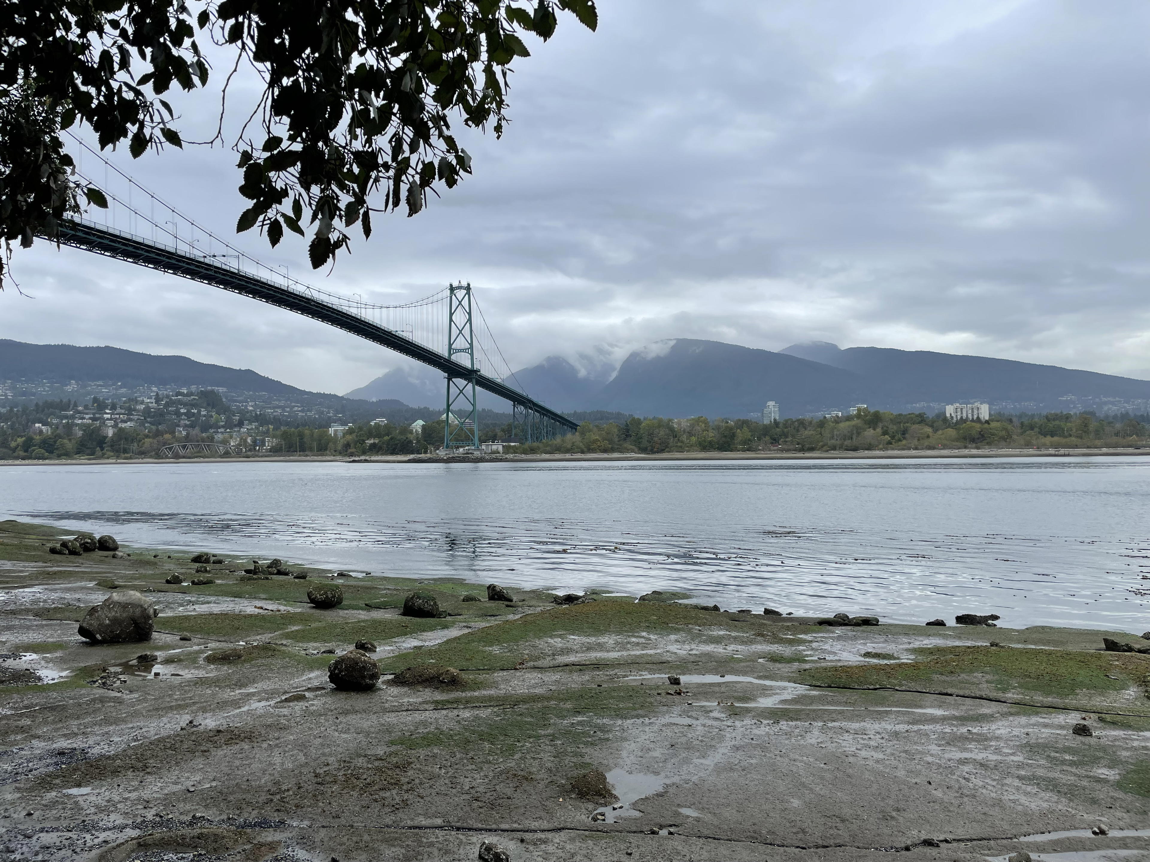 View of a bridge in Vancouver