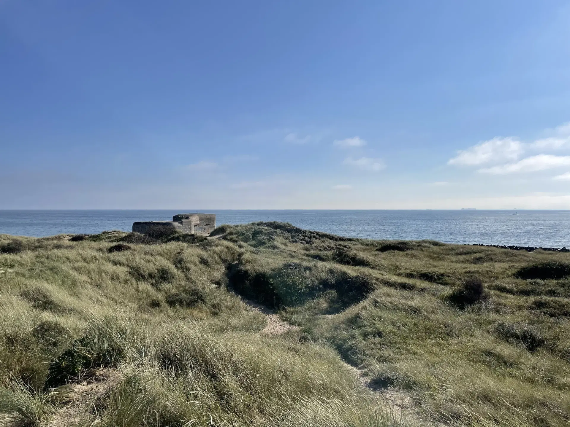 View of dunes in Skagen, Denmark.