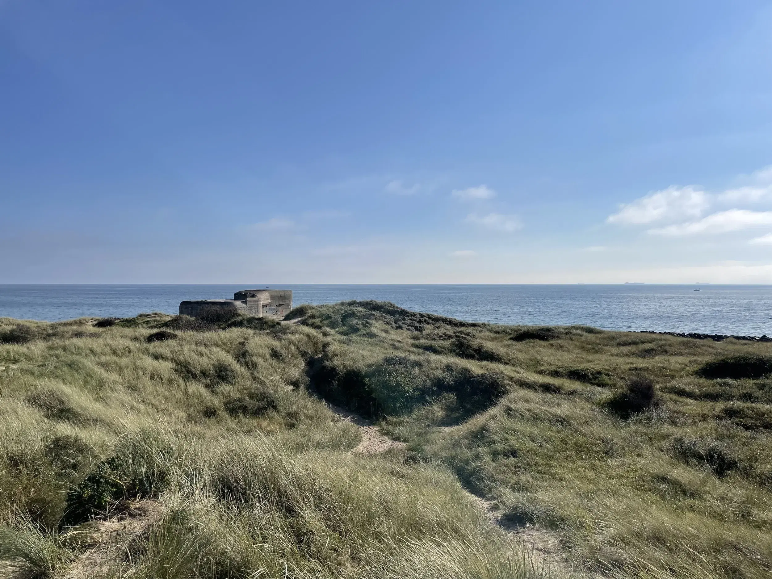 View of dunes in Skagen, Denmark.