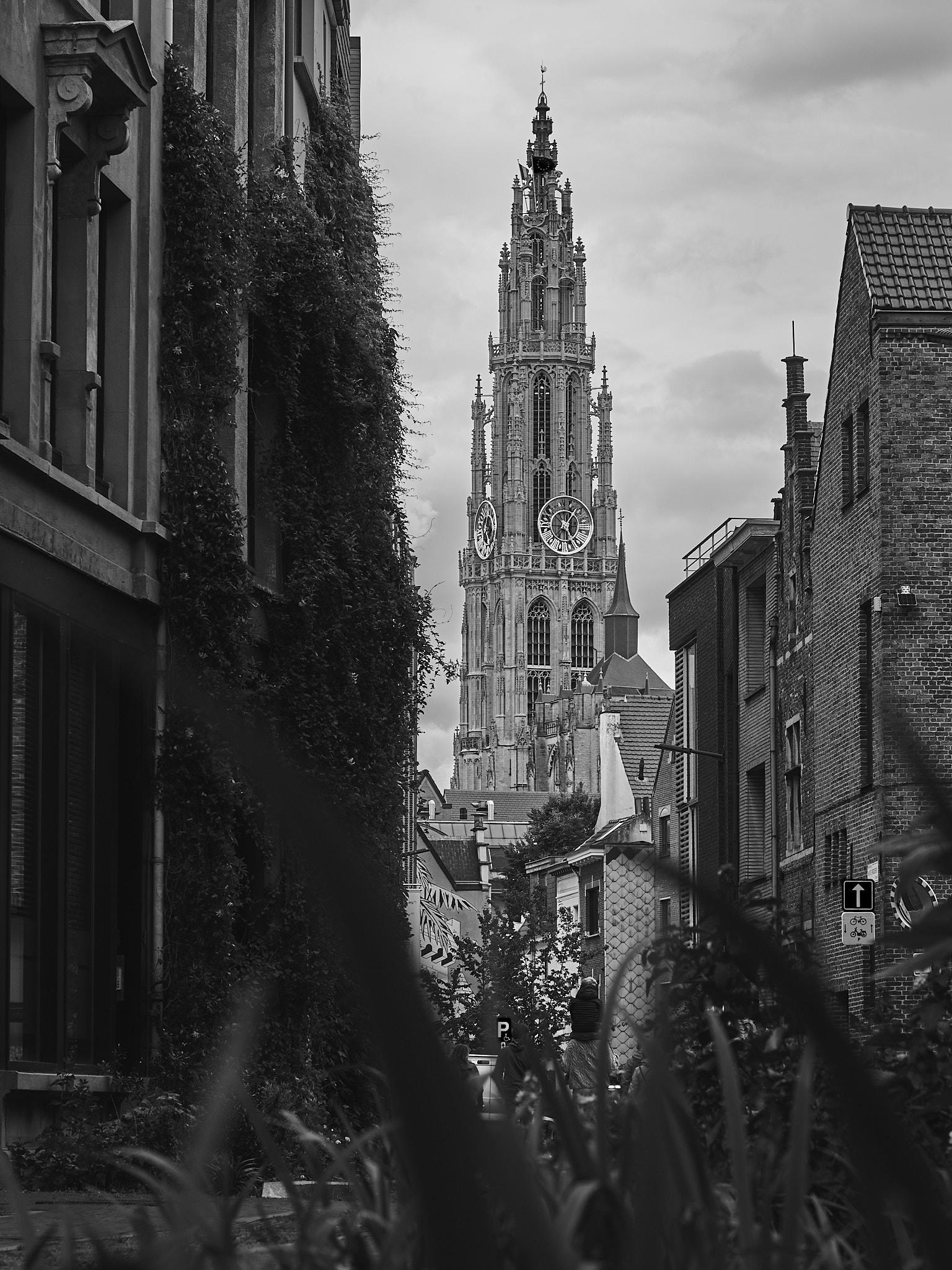 2025-06-07 16.06.41_Antwerp_2048.jpg