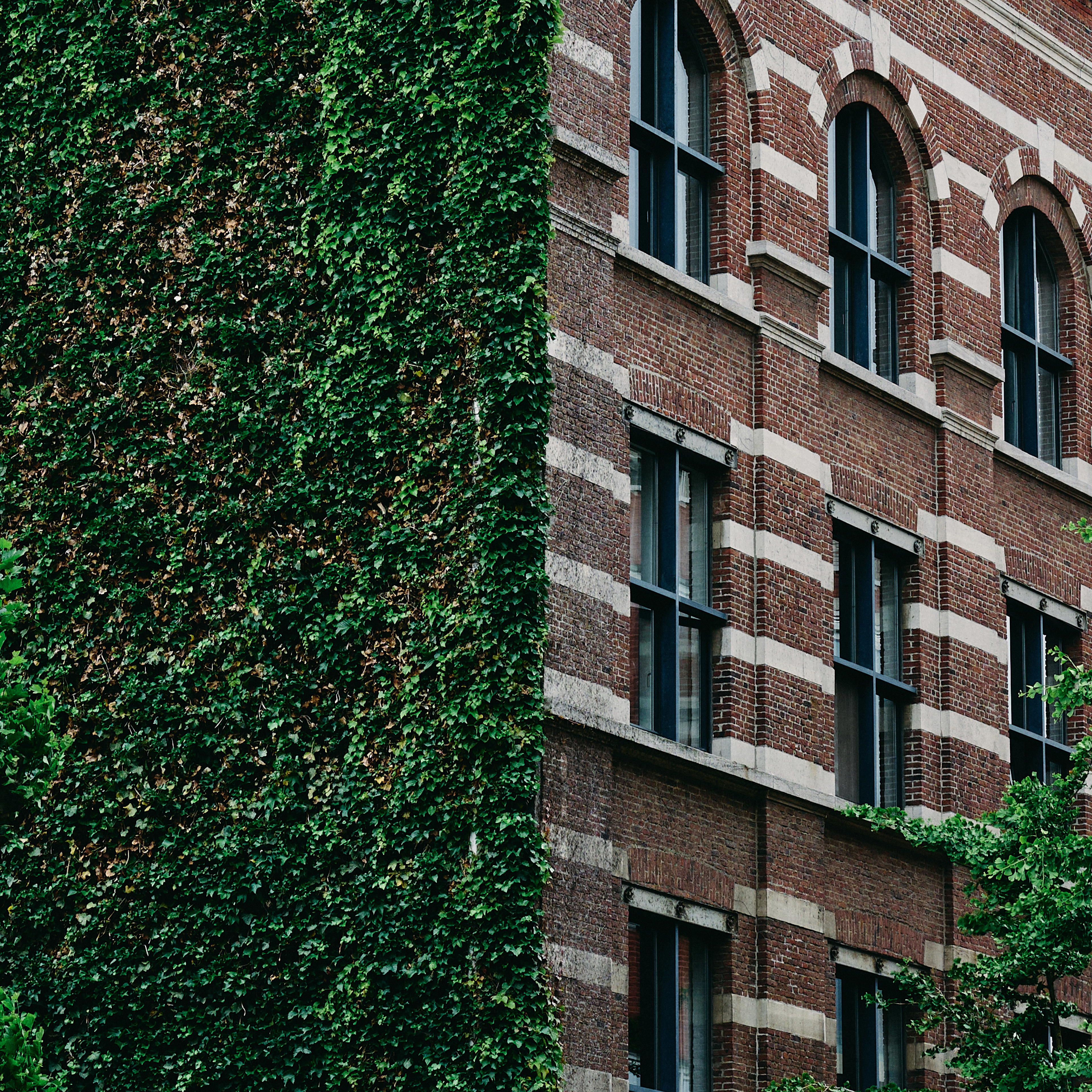 2025-06-07 16.16.26_Antwerp_4096.jpg