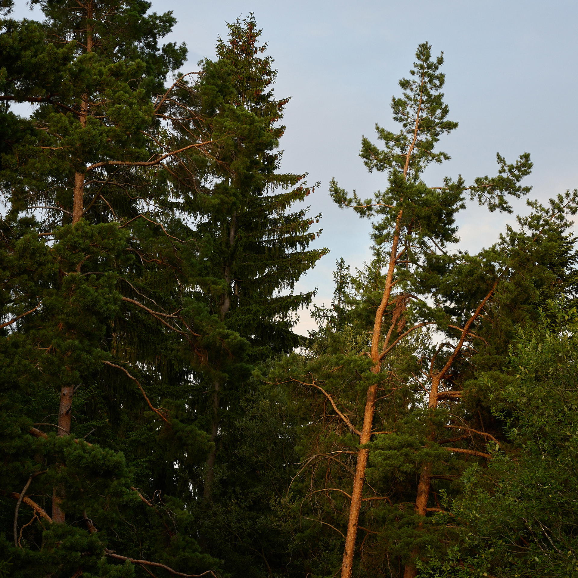 2025-07-14 19.50.50_Banska_2048.jpg