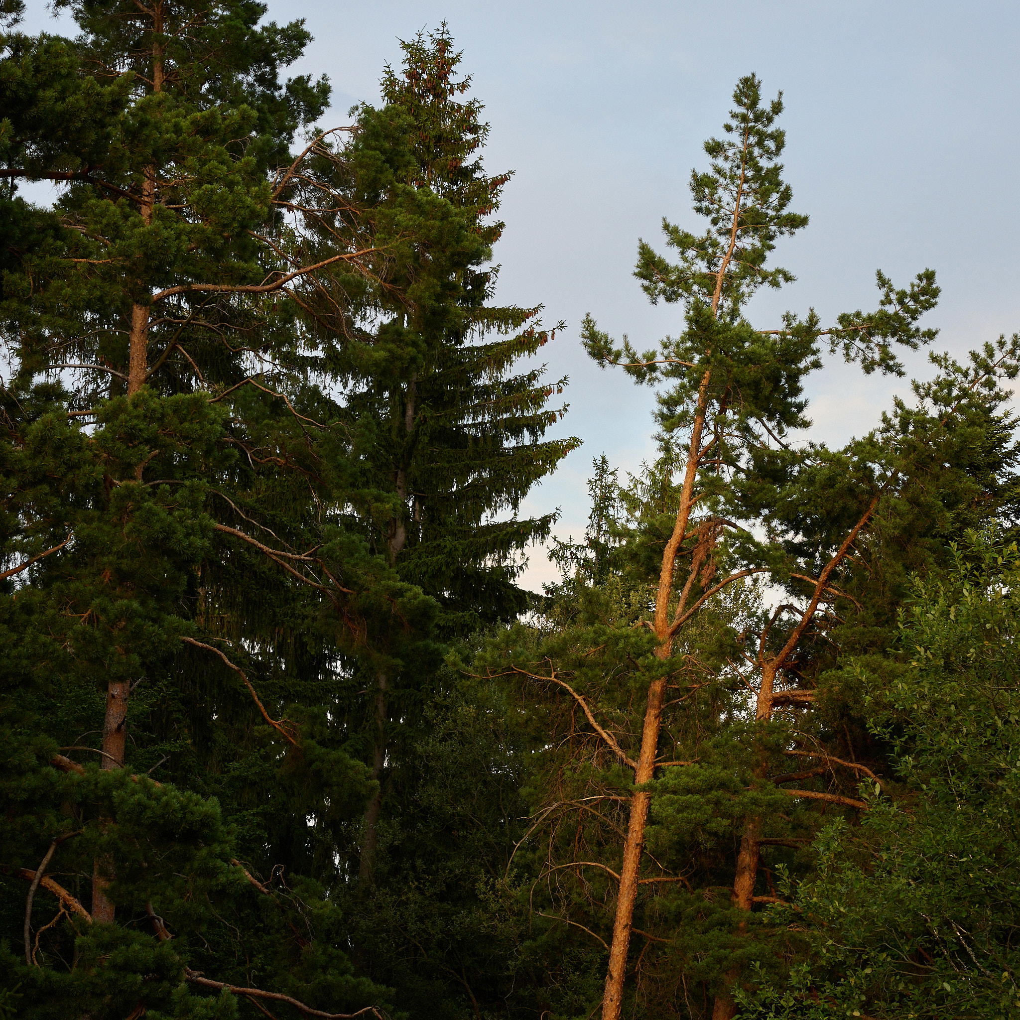 2025-07-14 19.50.50_Banska_2048.jpg