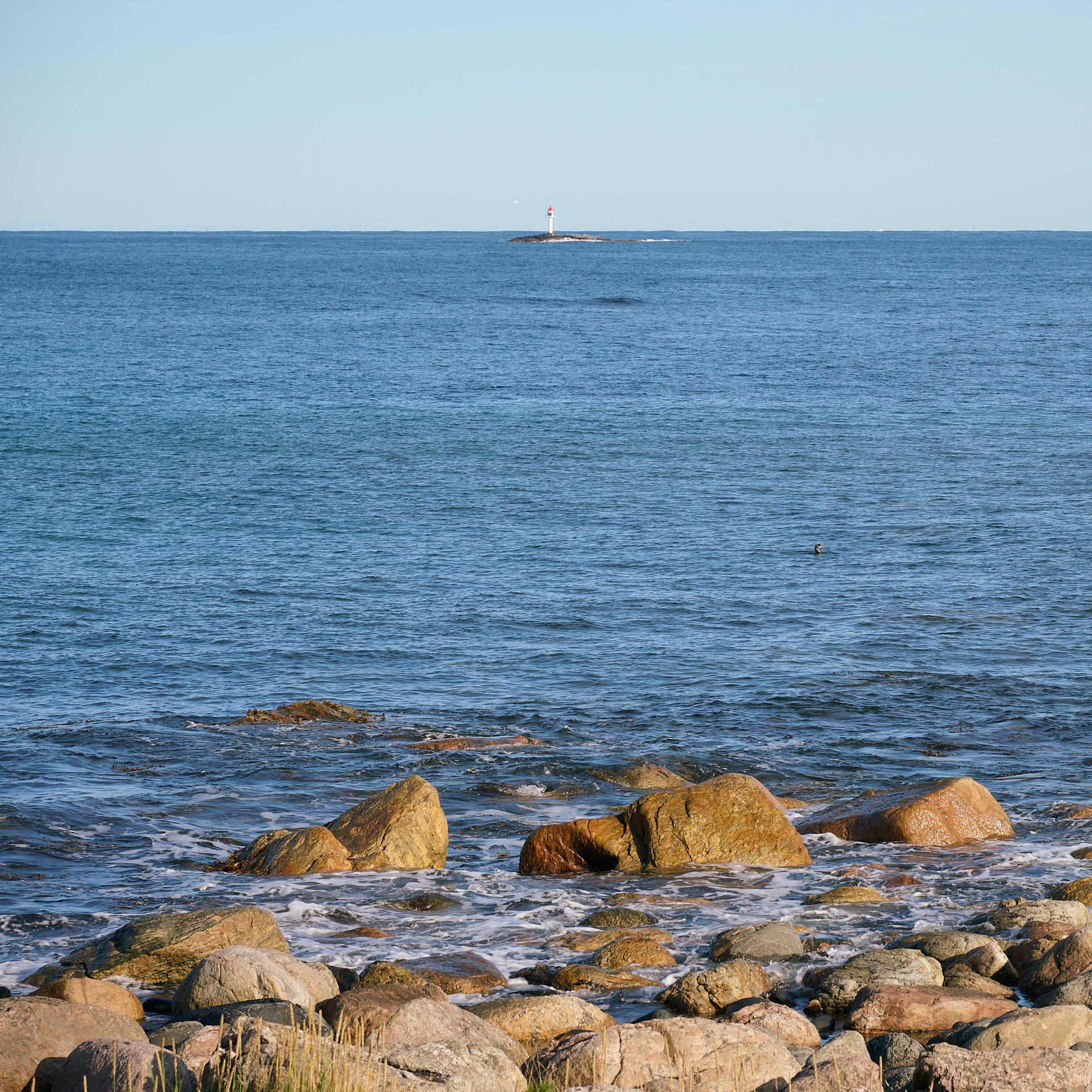 2025-09-20 11.23.33_Bleik_2048.jpg