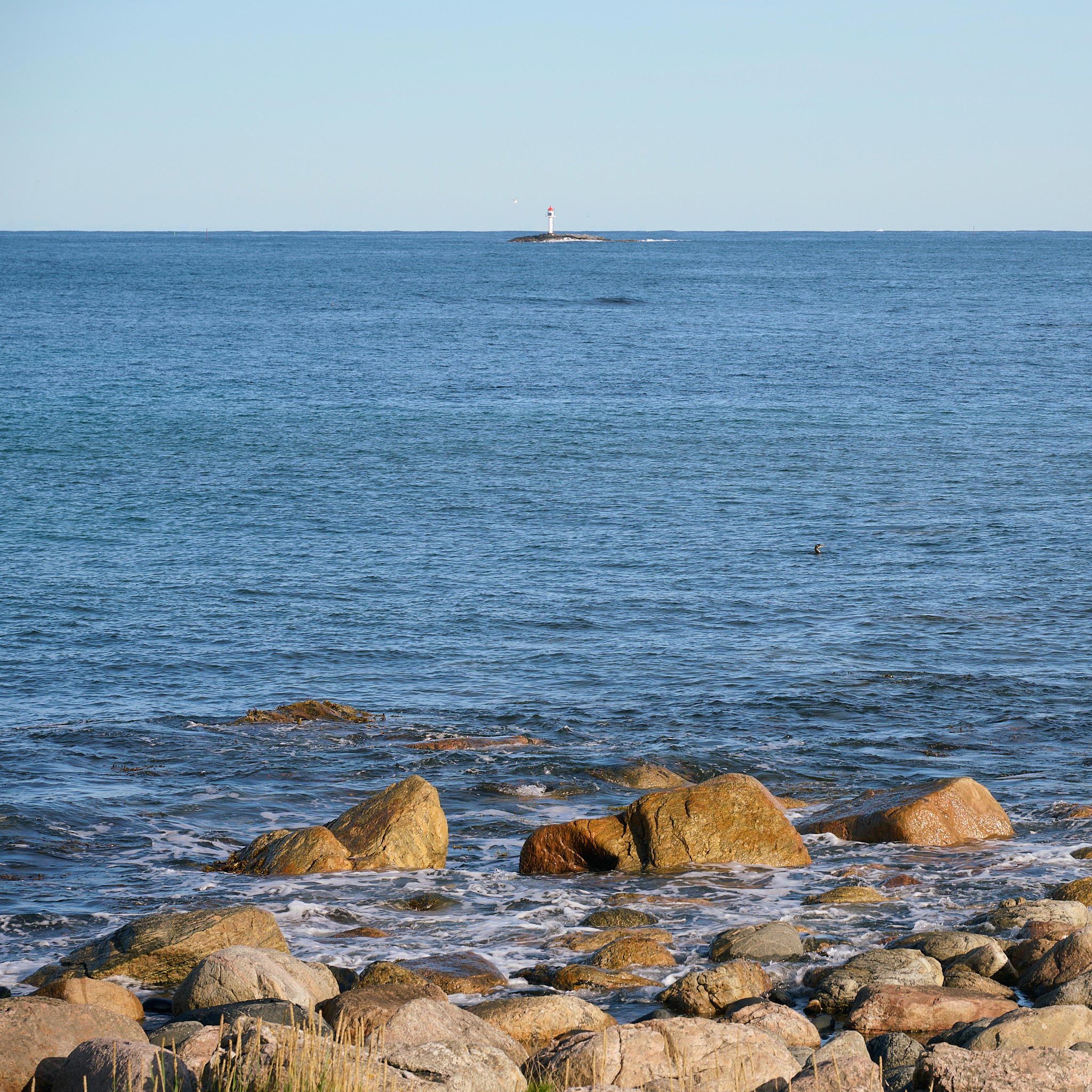 2025-09-20 11.23.33_Bleik_2048.jpg