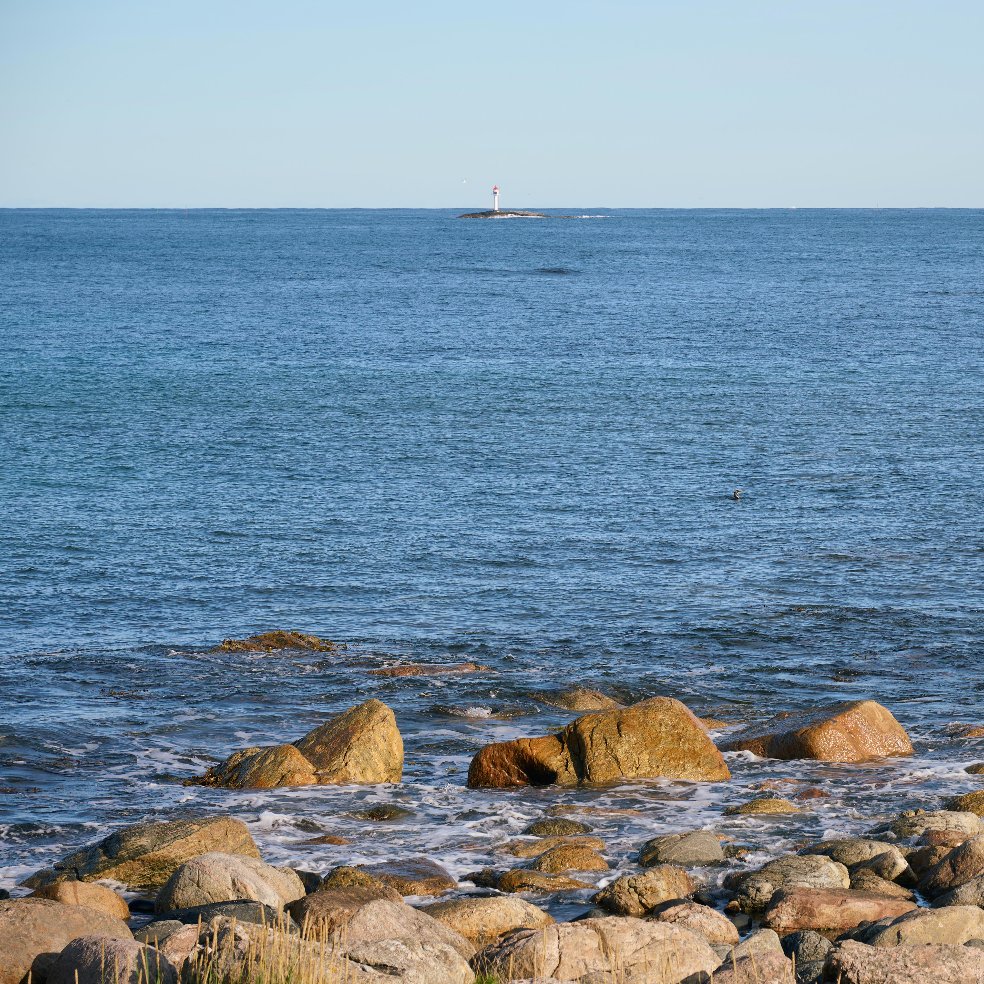 2025-09-20 11.23.33_Bleik_4096.jpg