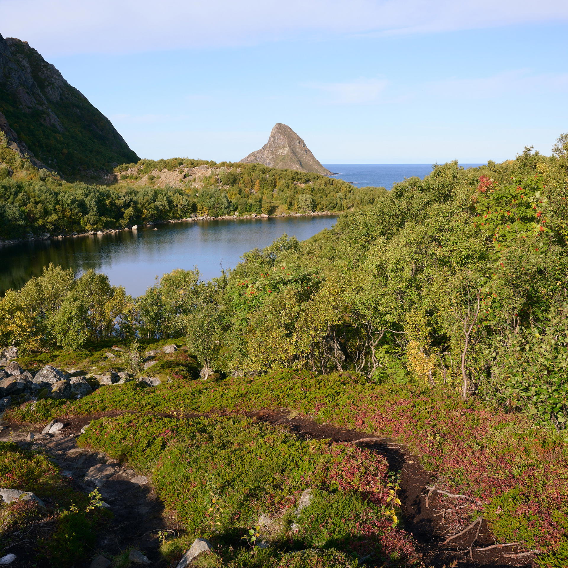 2025-09-20 11.45.31_Bleik_2048.jpg