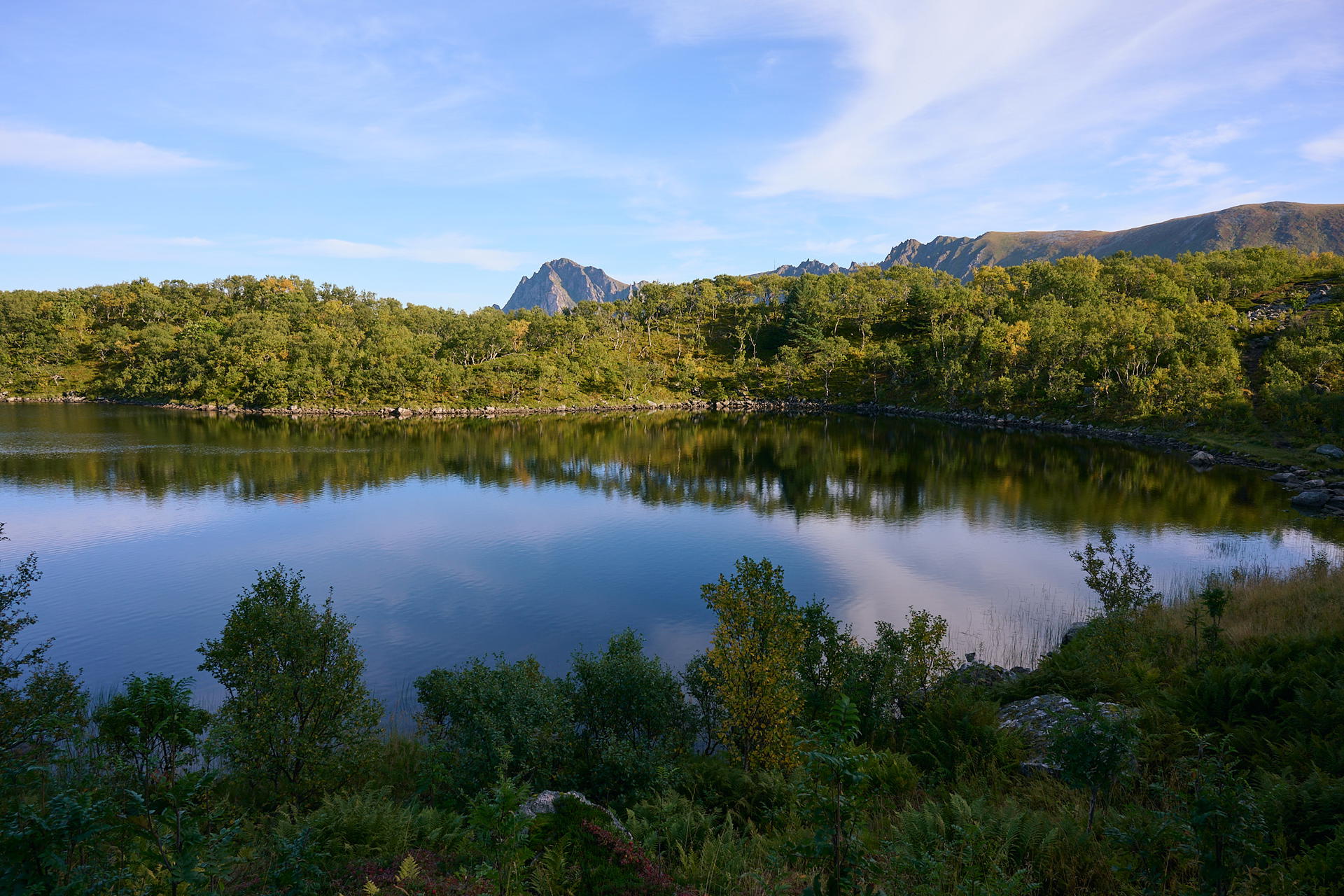 2025-09-20 11.51.45_Bleik_2048.jpg