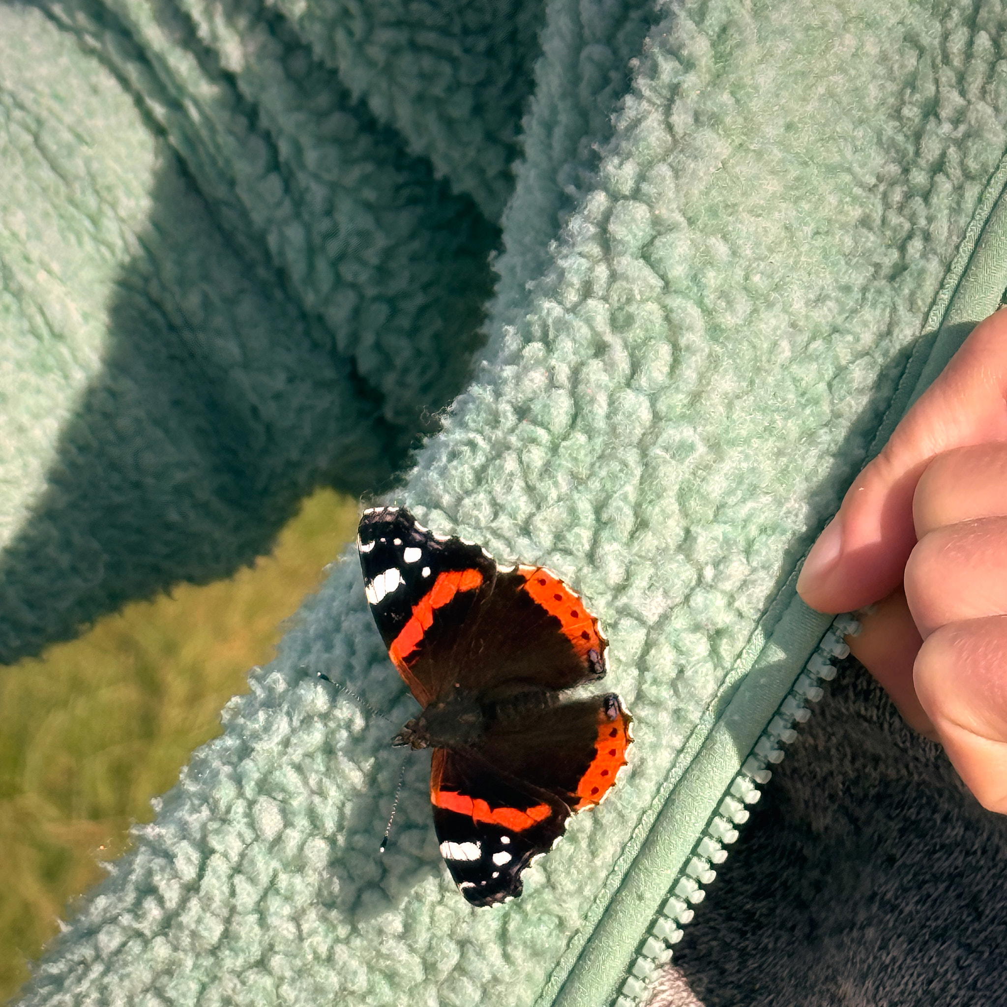 2025-09-20 13.22.15_Bleik_2048.jpg