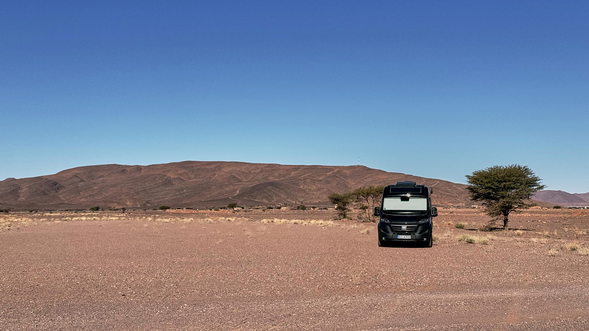 Image of Wilma in the desert
