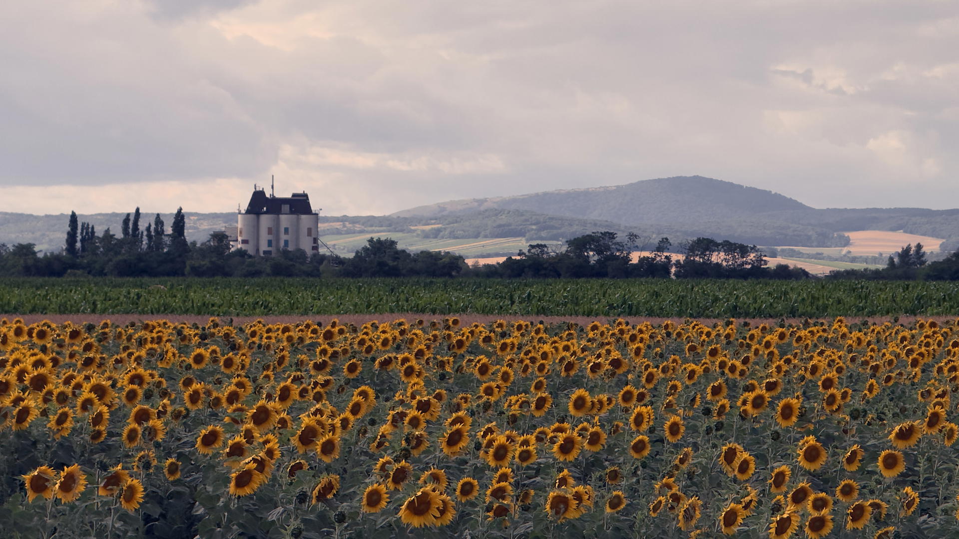 2025-07-17 17.23.03_Bratislava_2048.jpg