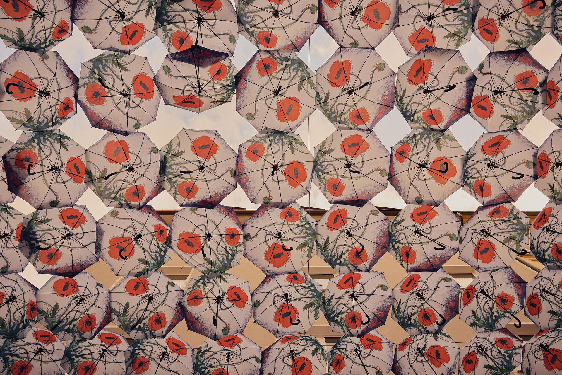 2025-07-17 18.49.14_Bratislava_2048.jpg