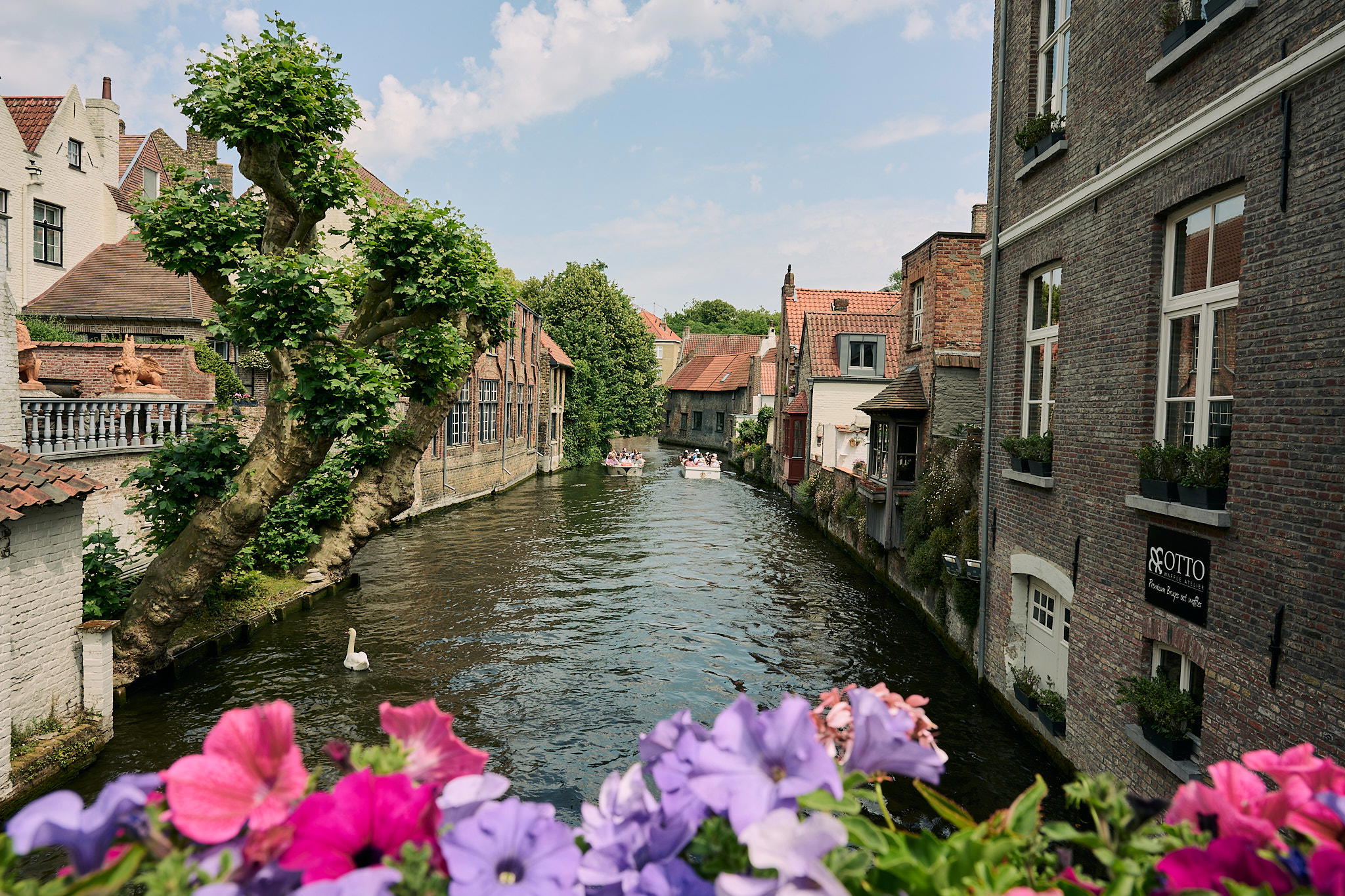 View of a river bank in Bruges