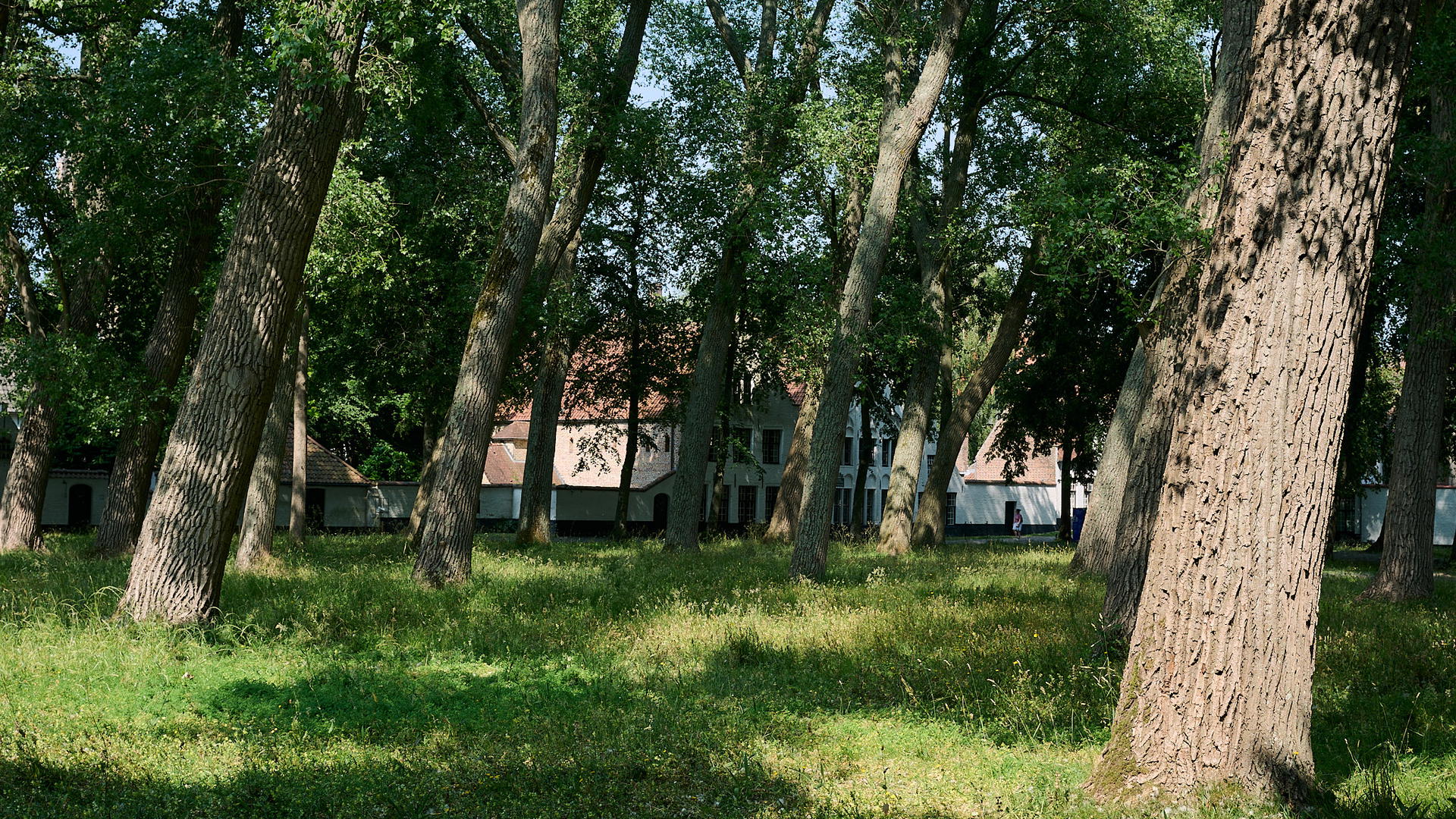 2025-06-13 14.50.49_Brugge_2048.jpg